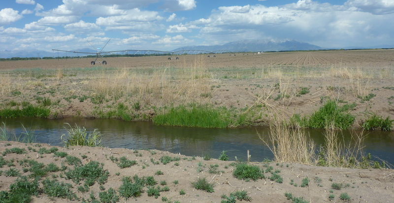 One of the irrigation ditches on Shriver's farm. The ditches run dry by the end of May, which means Shriver relies solely on the aquifer for irrigation water for most of the summer.