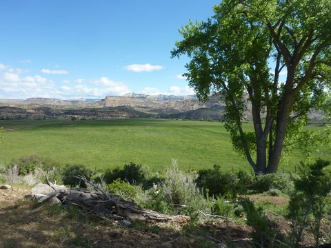 Carver Ranch in Mesa County was bought in the 1970s by Ute Water District for its water rights.