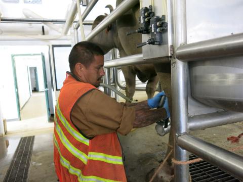 Johnathon Gregory, 36, works at the prison water buffalo operation.