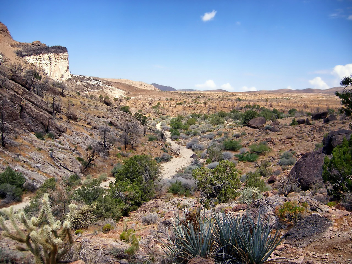 The southwestern U.S., much of which is arid, is becoming more dry as weather patterns shift.  
