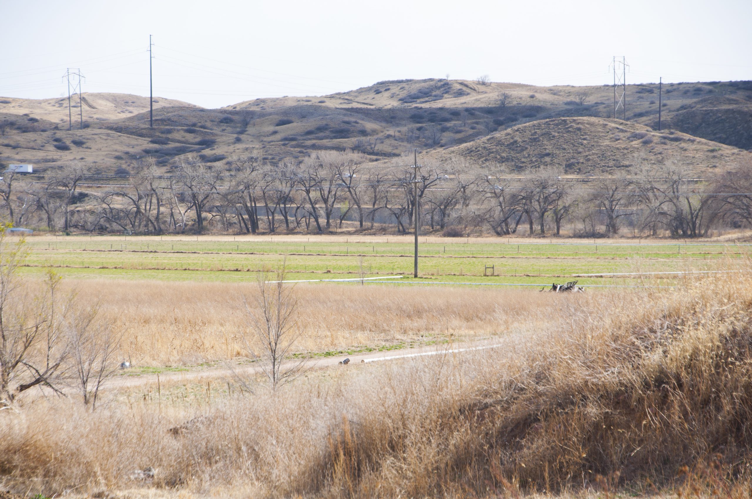 Open grassy fields
