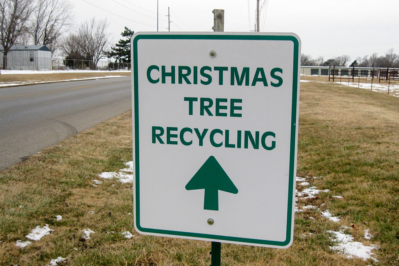 Where to recycle Christmas trees around Colorado Colorado Public Radio