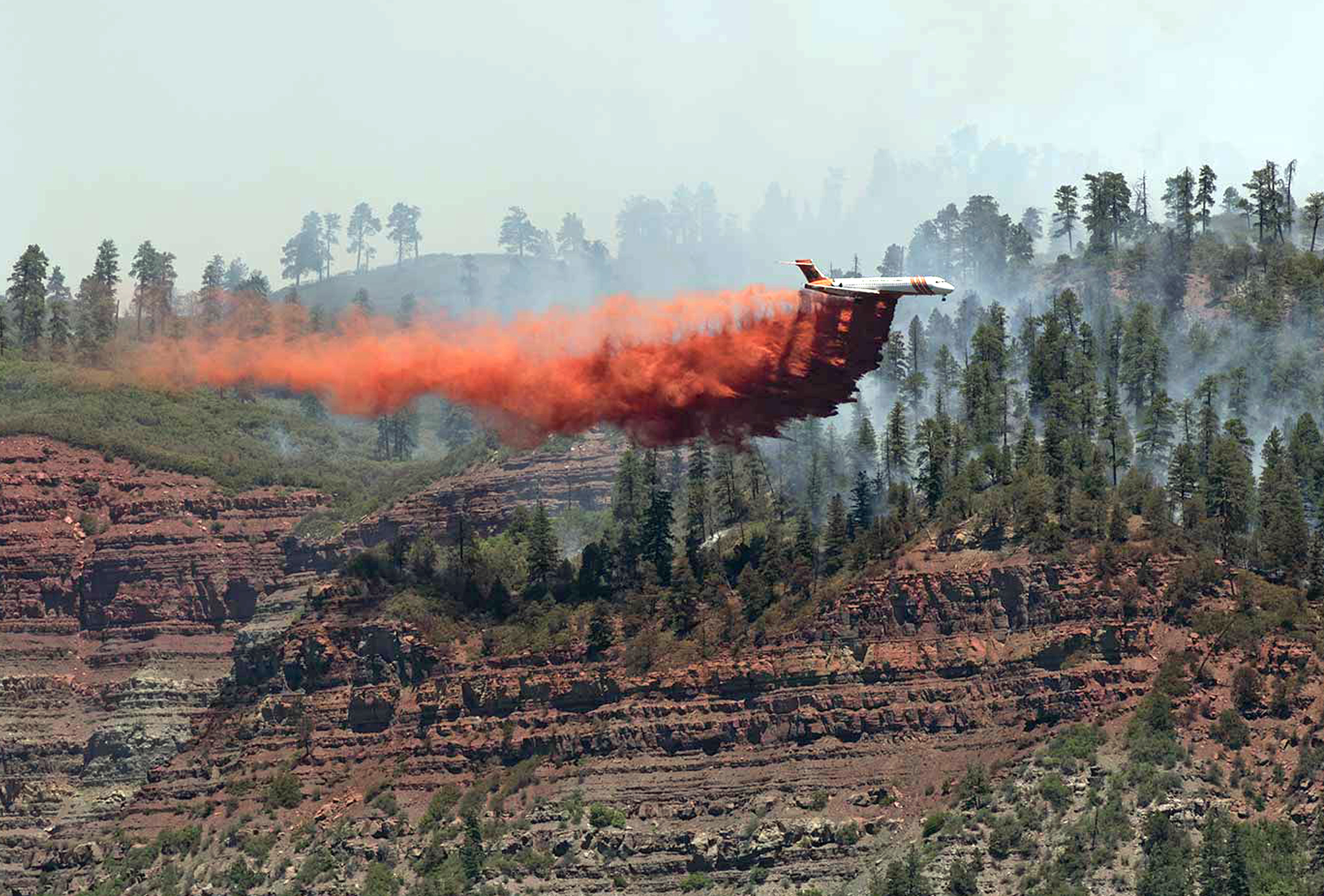 U.S. Forest Service can keep using fire retardant even though it pollutes streams, judge says - Vimarsana News