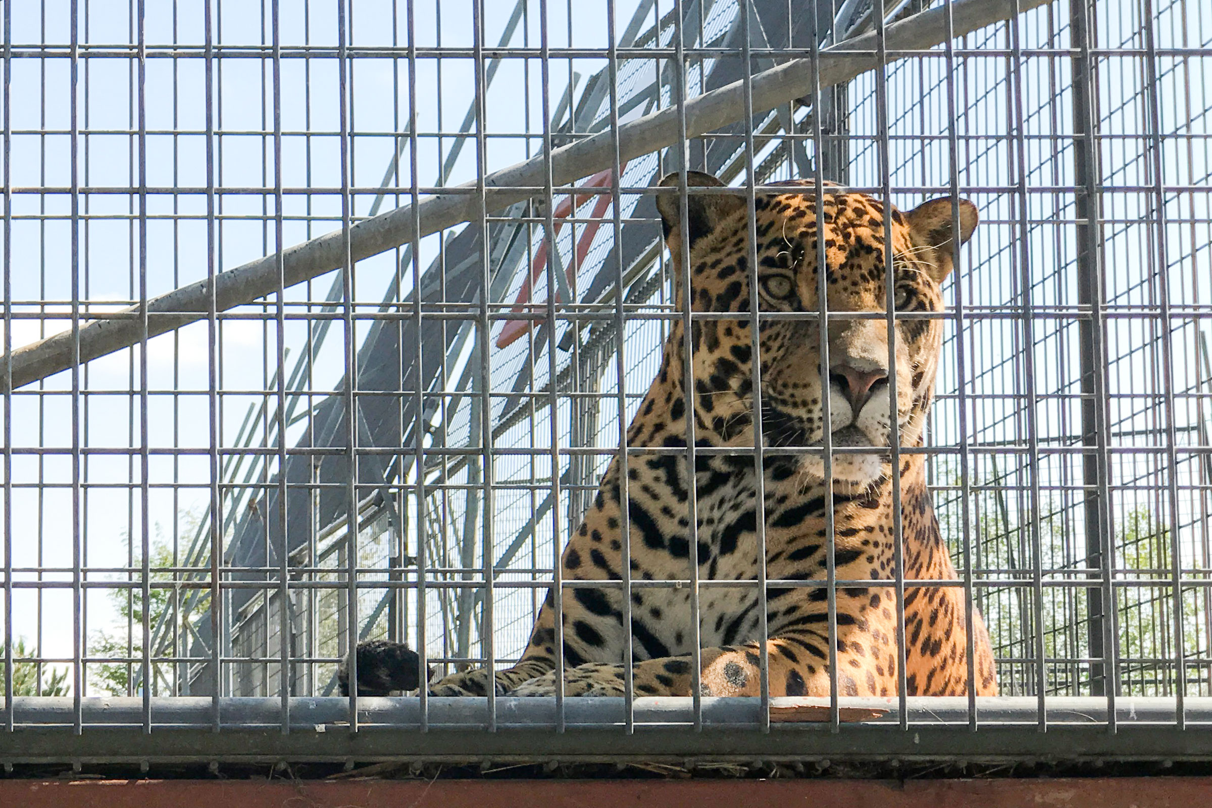 Keenesburg Wildlife Sanctuary Purchases Land In southeast Colorado