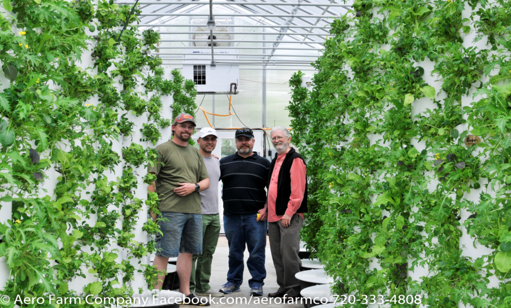 Urban farms one solution for ailing food system, Colorado agriculture activist says Colorado