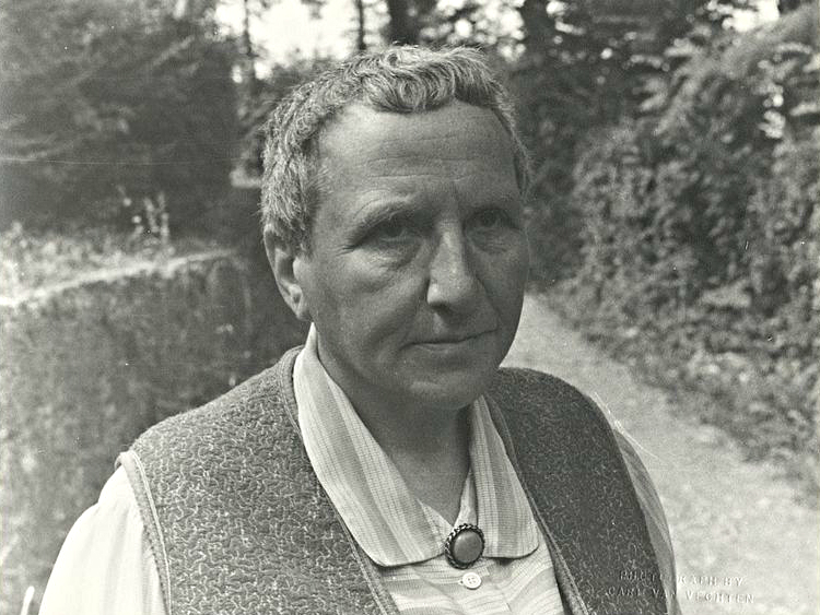 Photo: Gertrude Stein