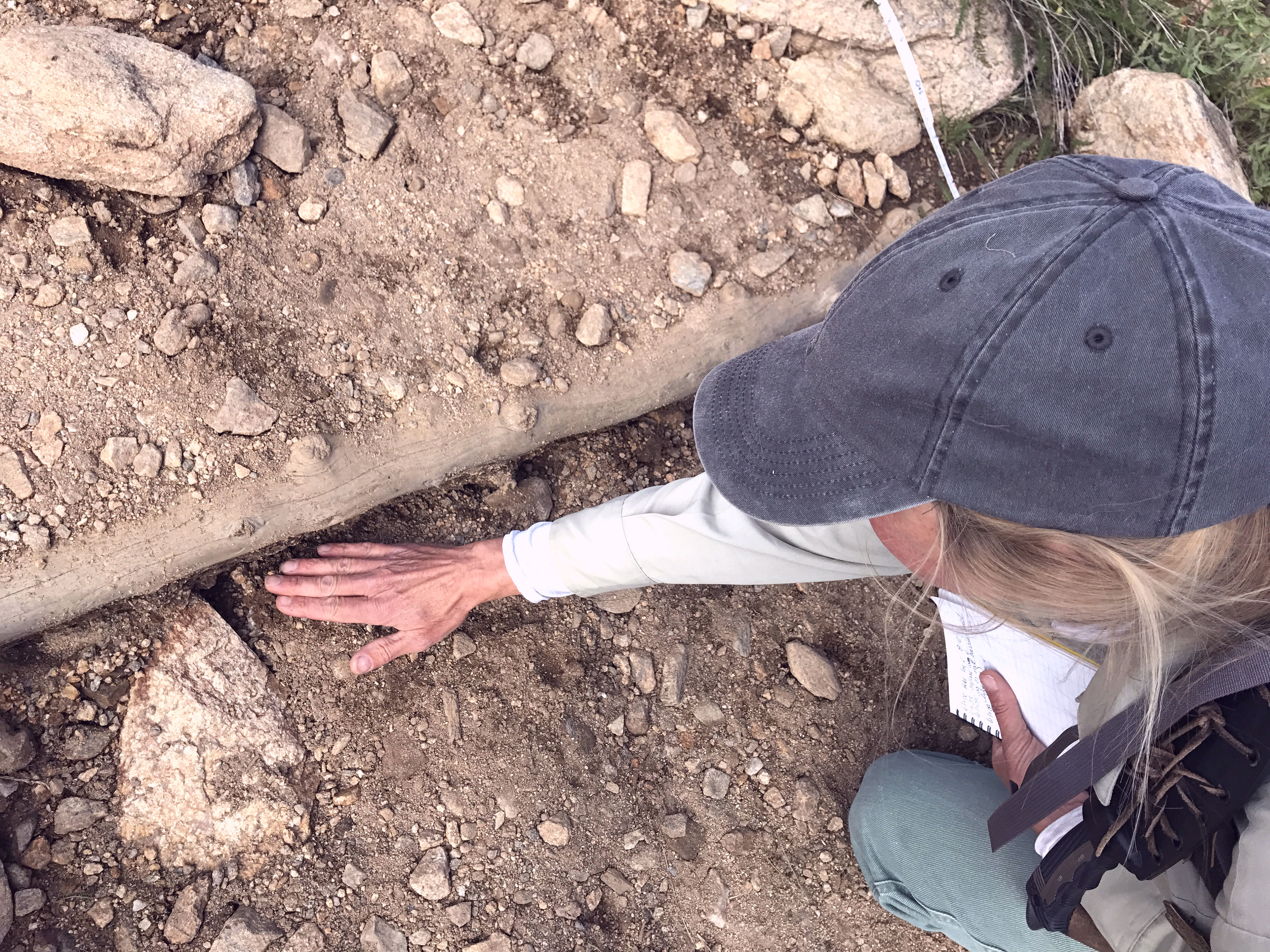 Photo: Loretta McEllhiney, Mt. Elbert erosion