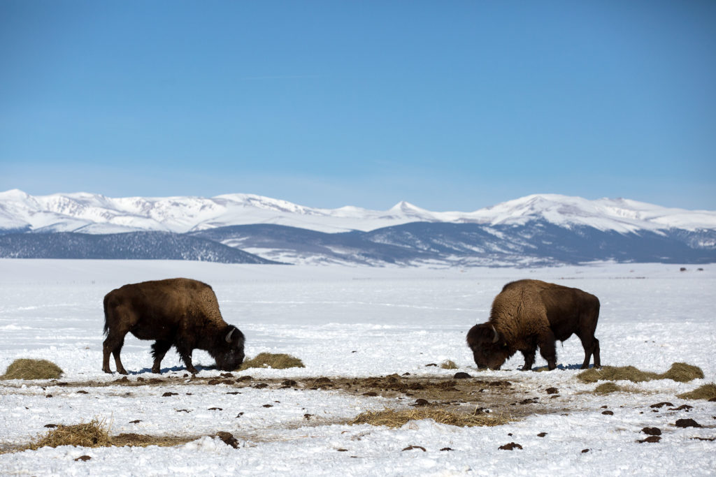 Photo Fairplay Cost Of Living 5 HV 20190227 Colorado Public Radio