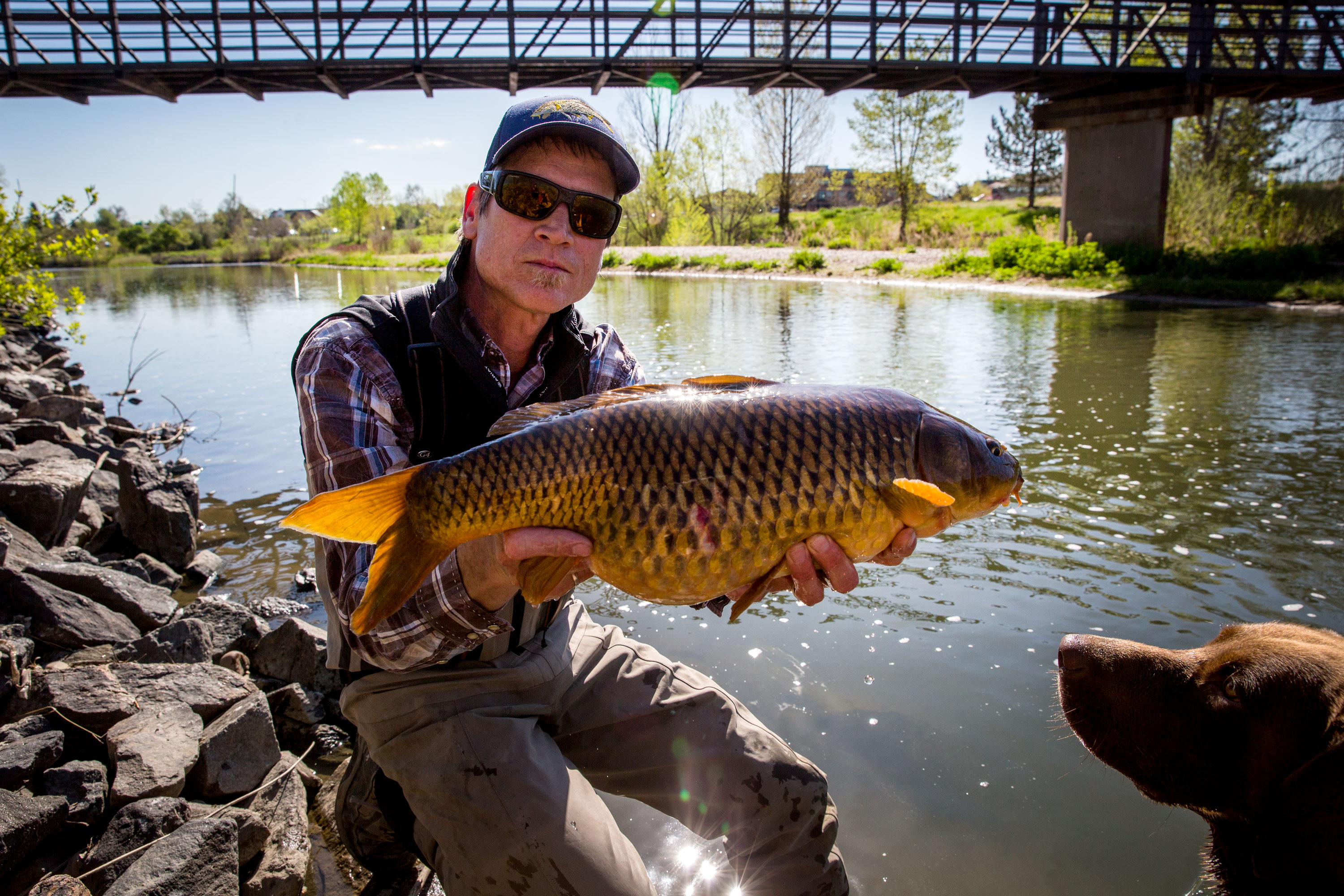 Denver’s South Platte Has Plenty Of Fish. Think Hard Before You Put One