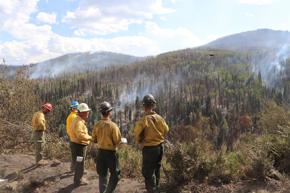 Wildfire research