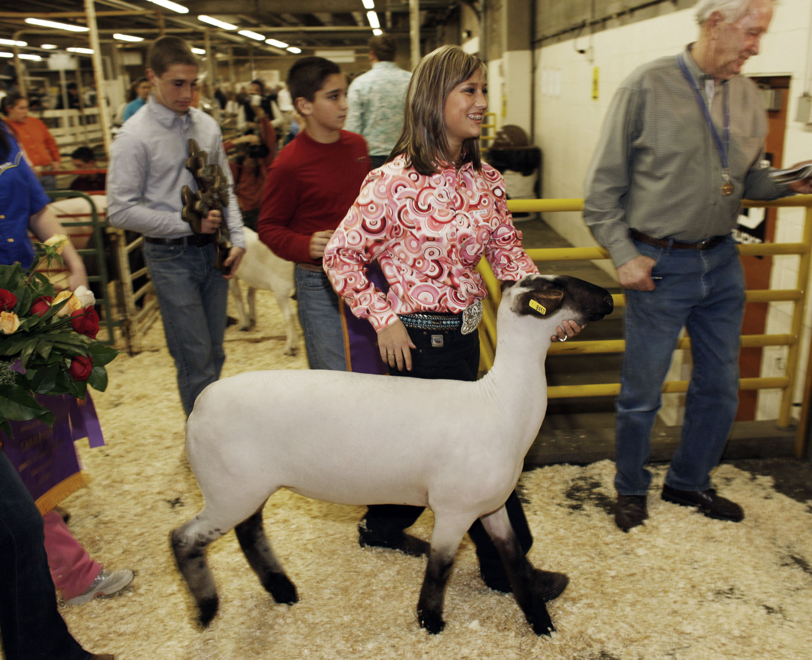 Photo: Blackface Lamb at National Western Stock Show (AP Photo)