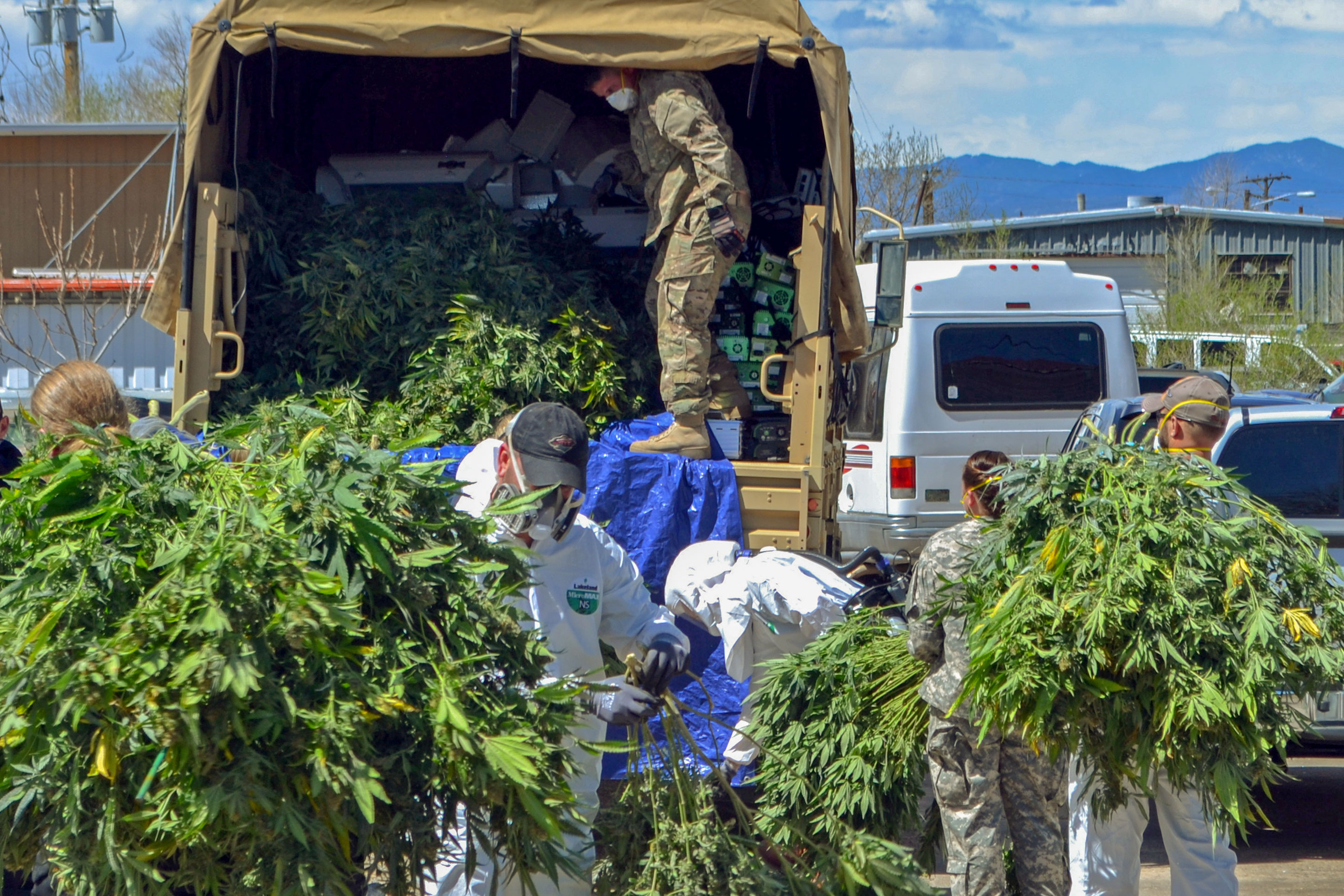 Photo: Marijuana Black Market Busts 1 | Denver 2016 Bust - AP