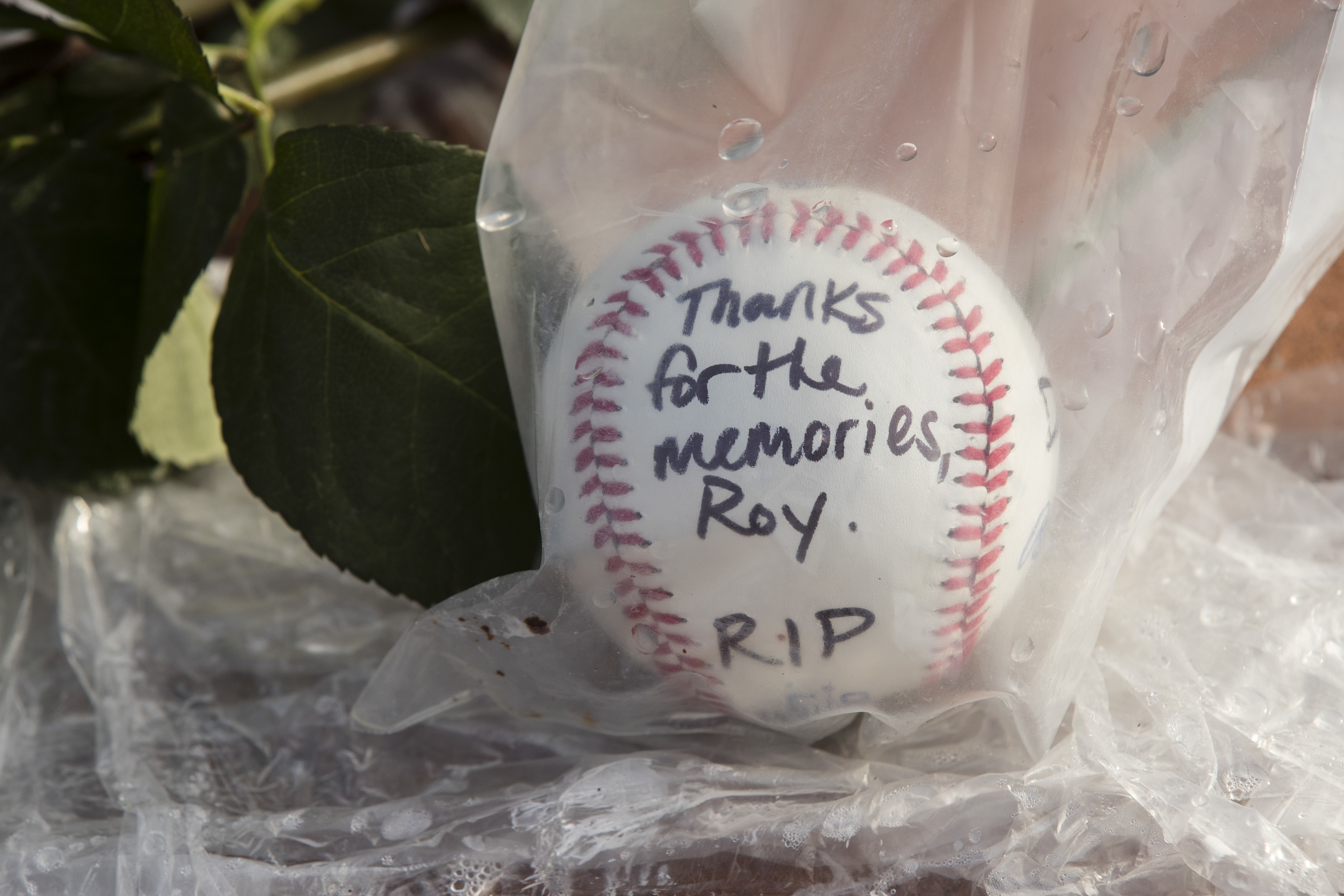 Photo: AC Roy Halladay Remembrance