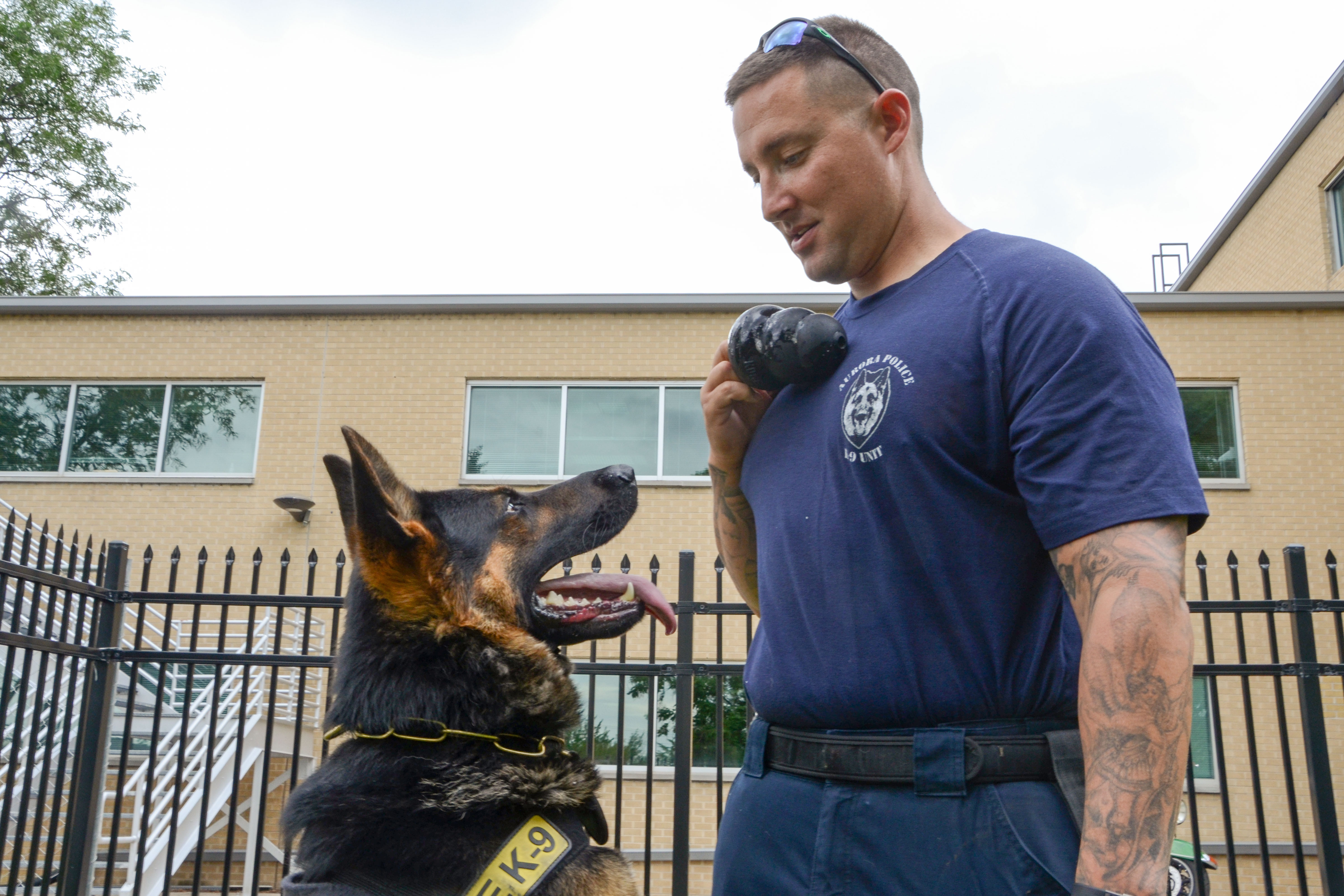 Colorado one of at least 6 U.S. states considering tougher penalties for killing police dogs - Vimarsana News
