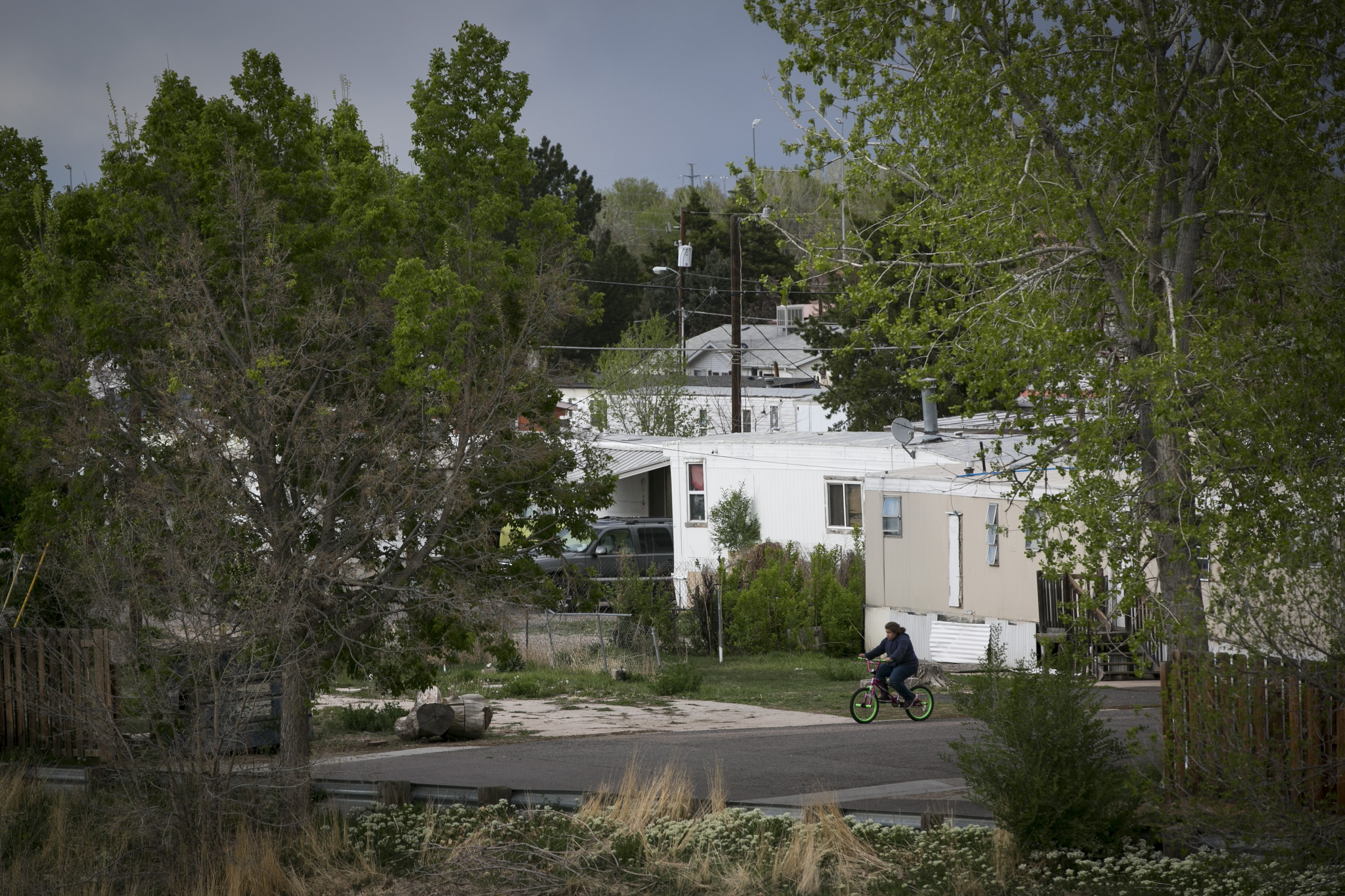 Photo: Denver Meadows 1 | Boy on bike