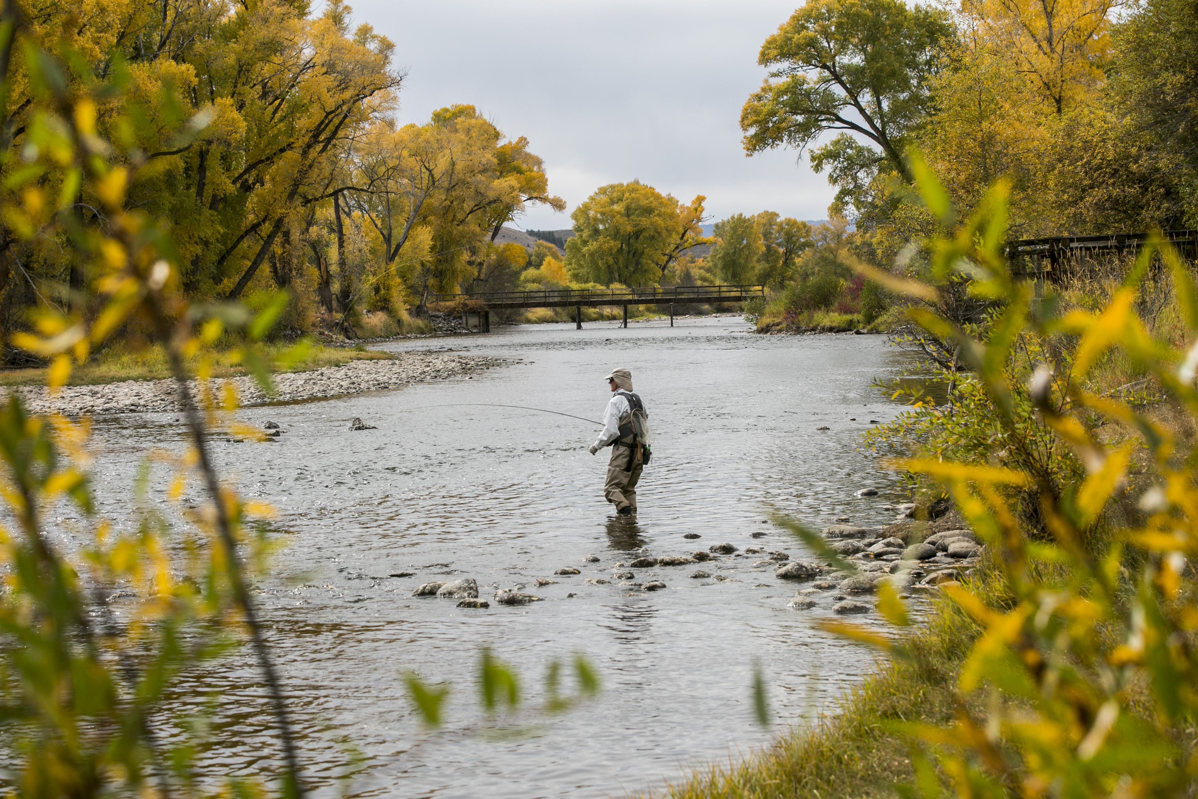 Photo: Fraser River 2 | Fishing in the Colorado