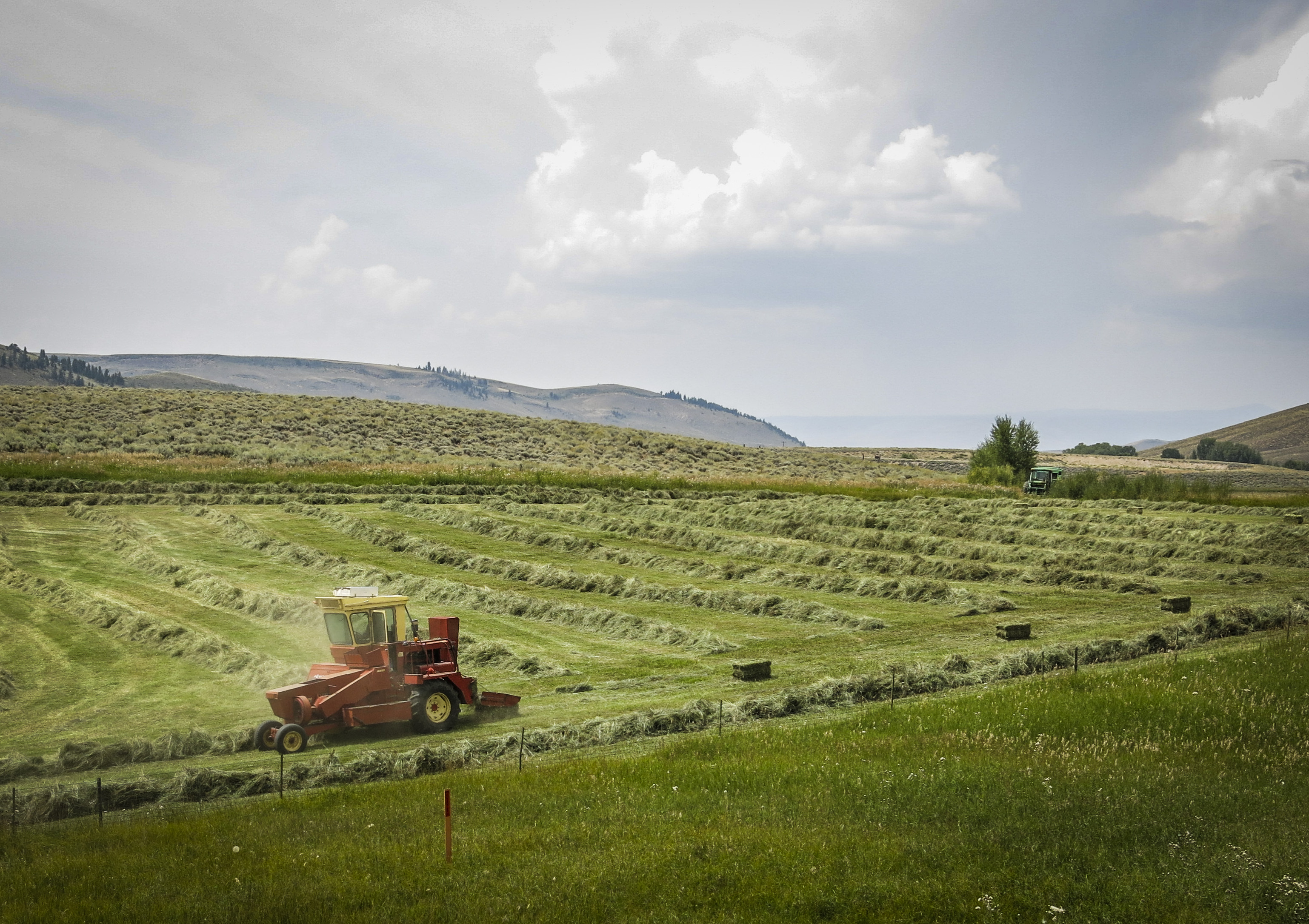 Photo: Haying season outside Gunnison (Staff)