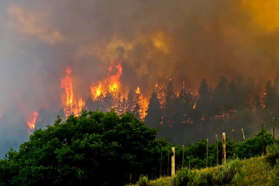 Photo: 416 Fire June 3 | Flames