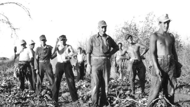 Photo: POWs on Niwot farms