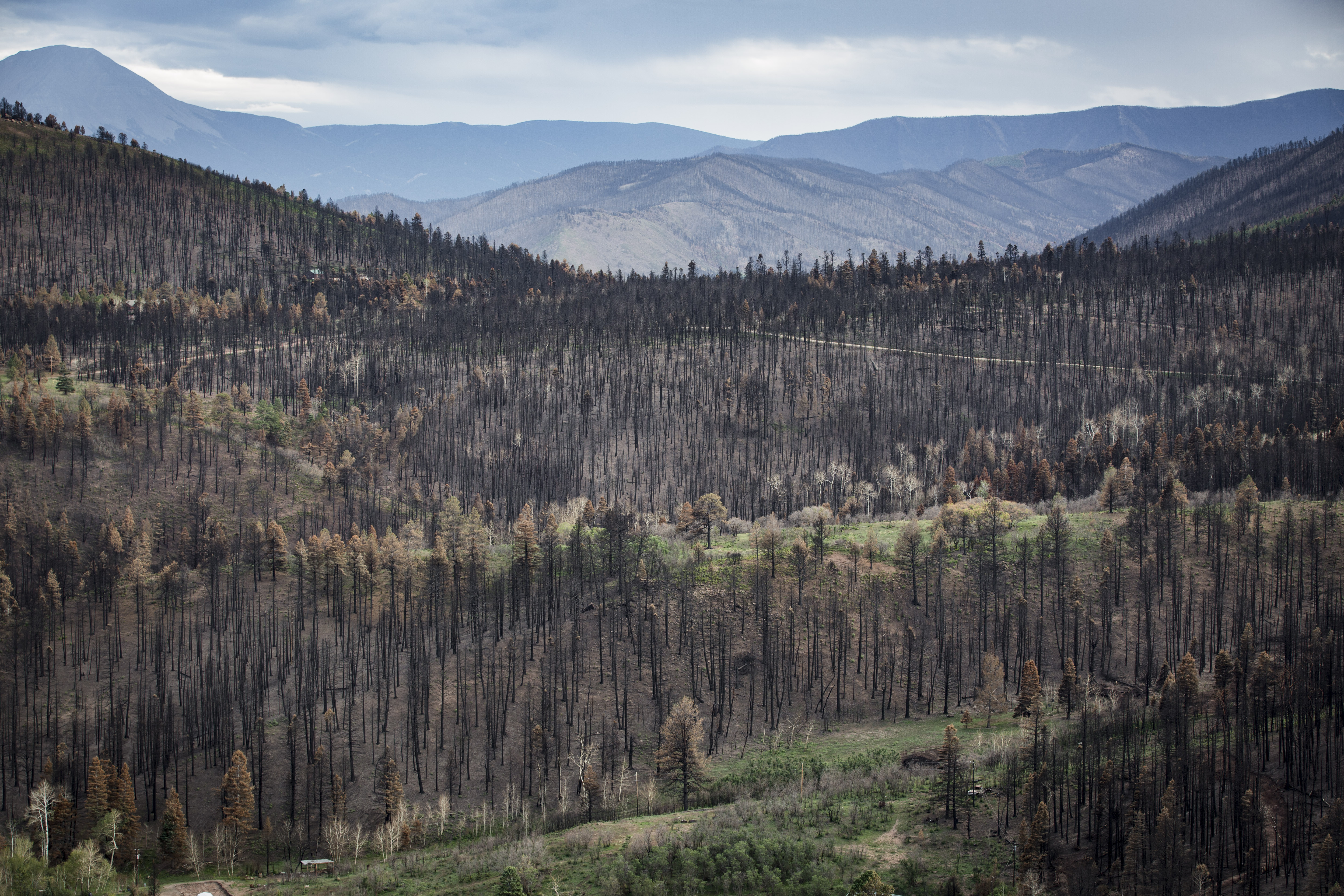 Photo: Spring Creek Fire 3 | Old La Veta Pass