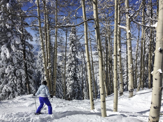 Photo: Pushing The Boundaries At Steamboat