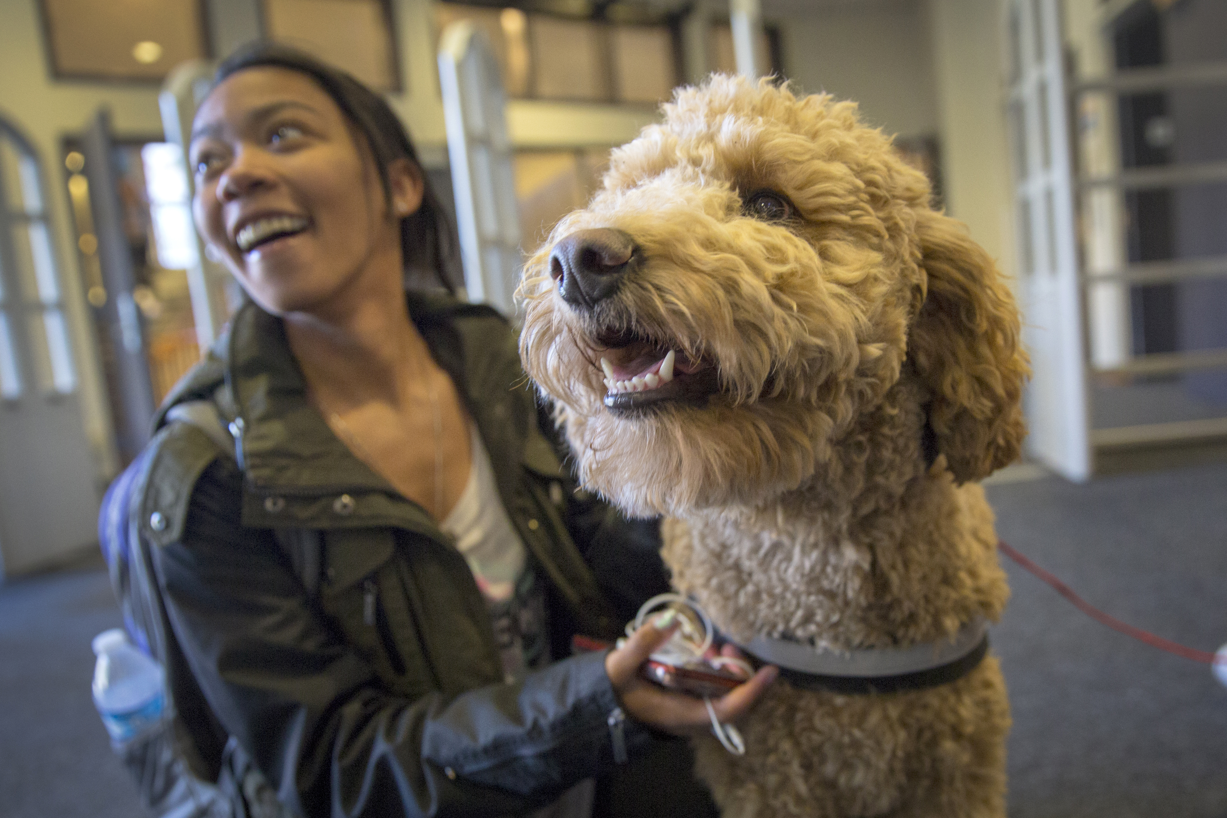 Photo: Therapy Dogs CU Boulder Norlin Library 1 20181211