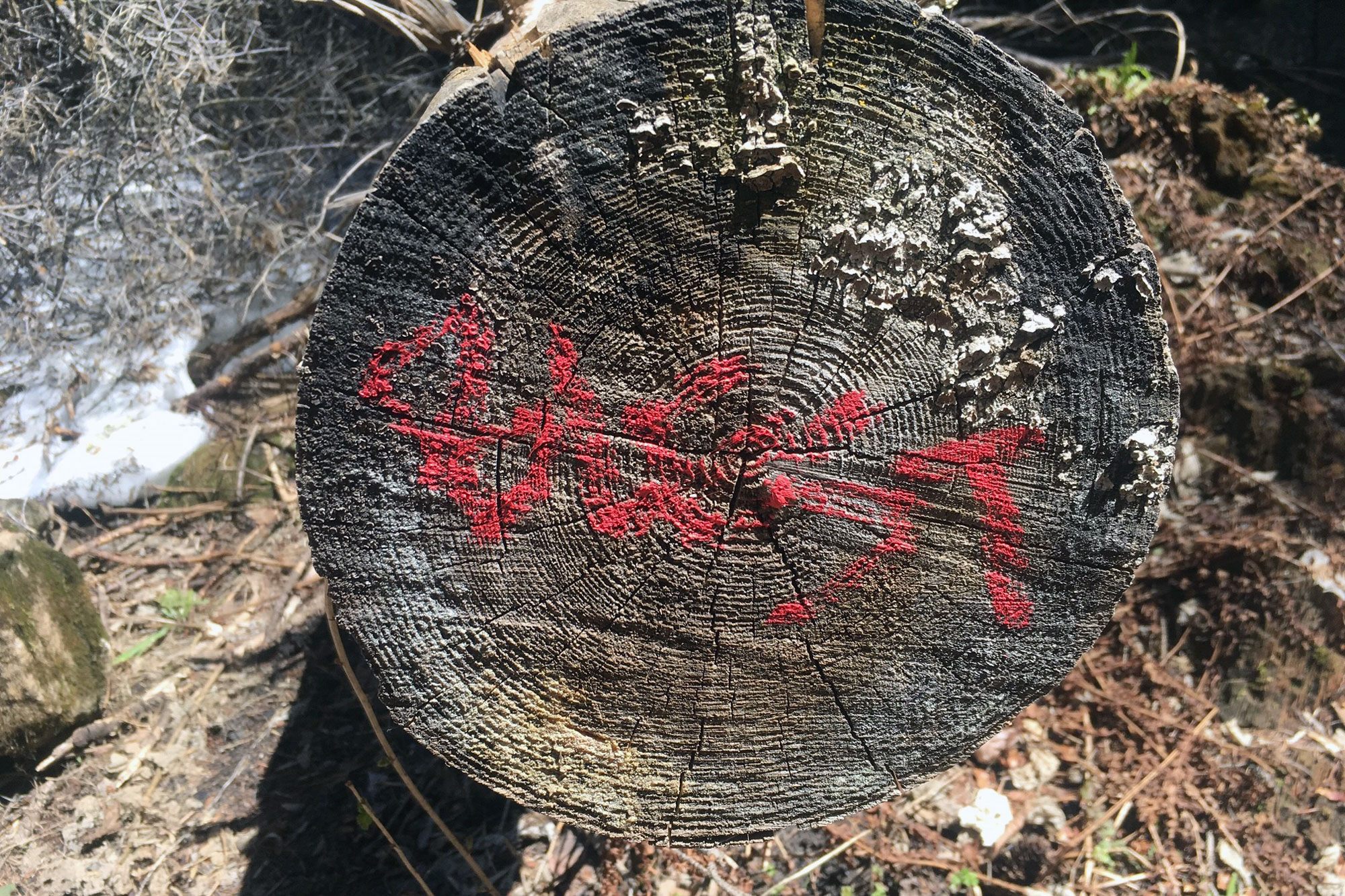 Photo: Hanging Lake 2017 Graffiti 2