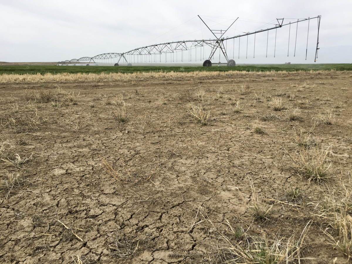 Photo: State water plan 6 | Irrigated land