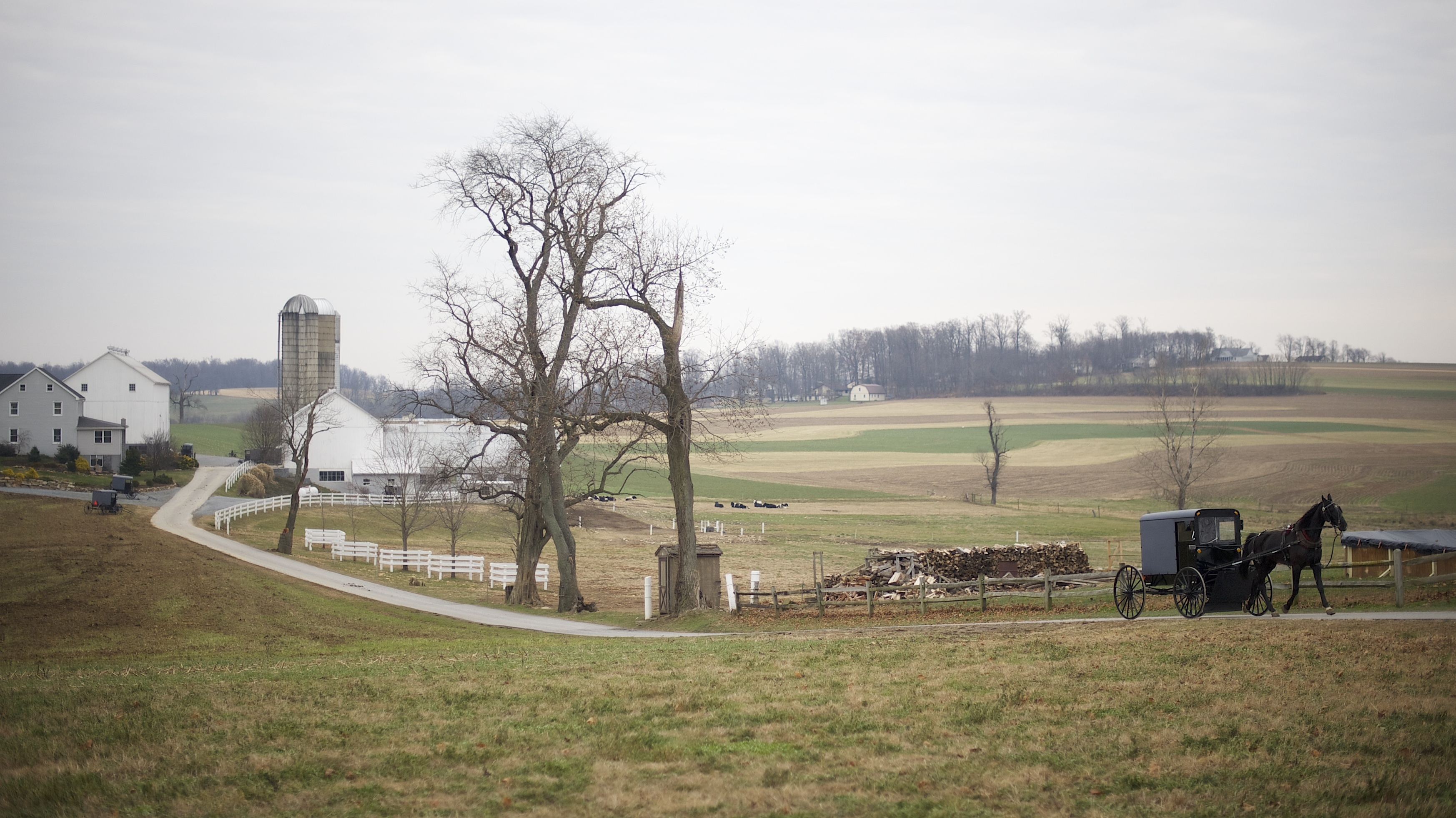 Amish Leave Pa. In Search Of Greener, Less Touristy Pastures Colorado