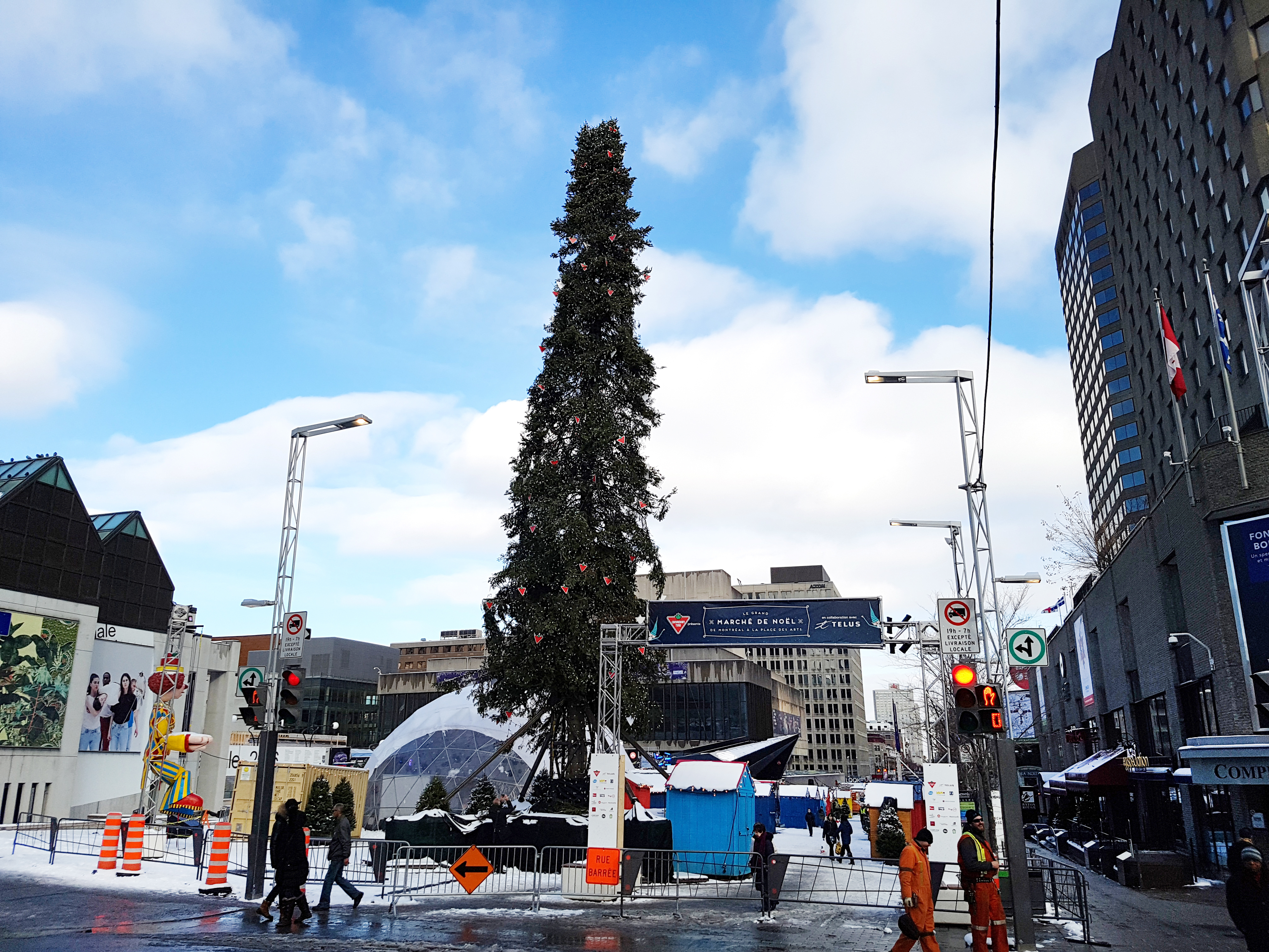 Montreal S Tall Scrawny Christmas Tree Evoking Charlie Brown Comparisons Colorado Public Radio