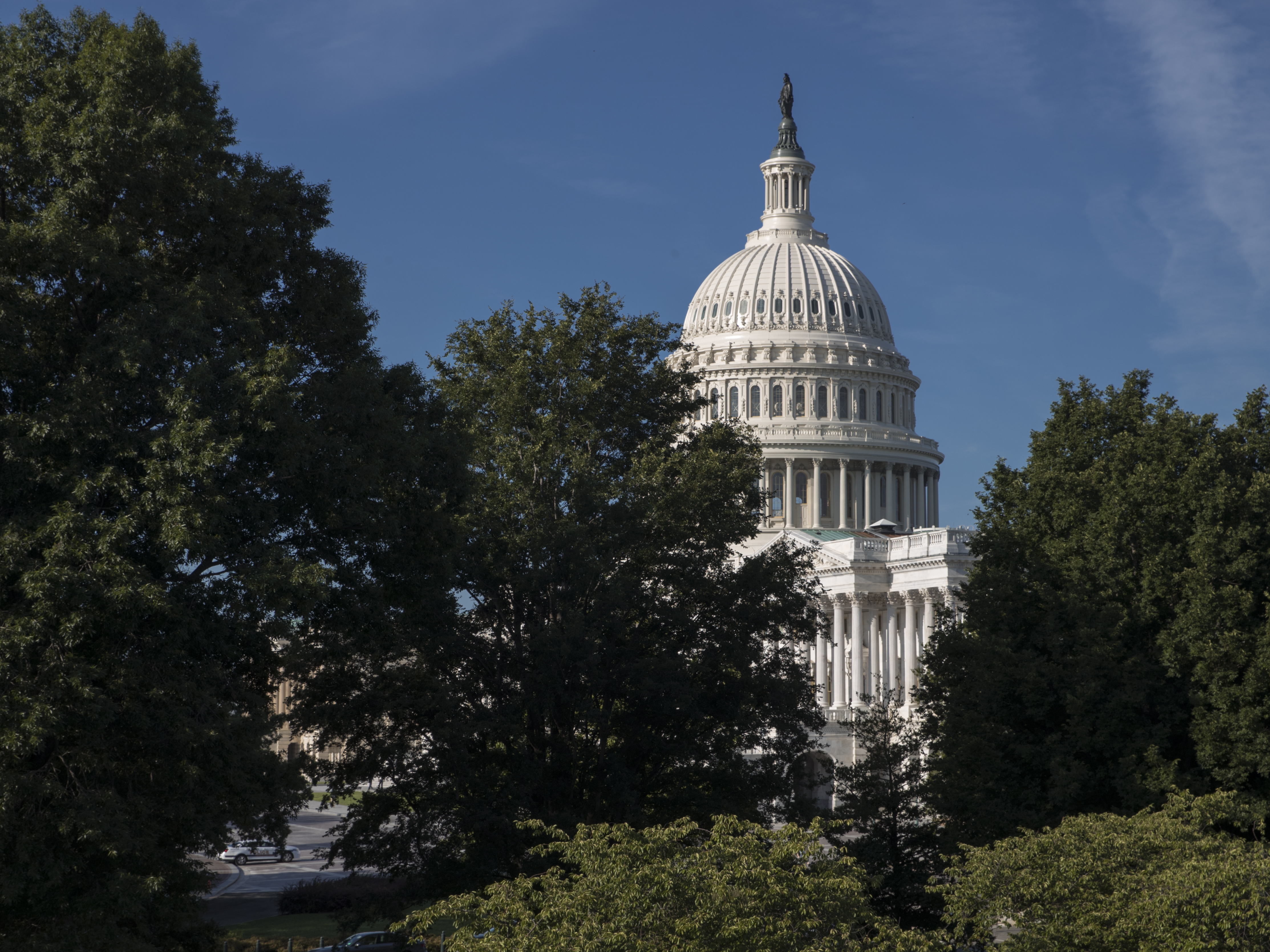 The Capitol, Washington, D.C.