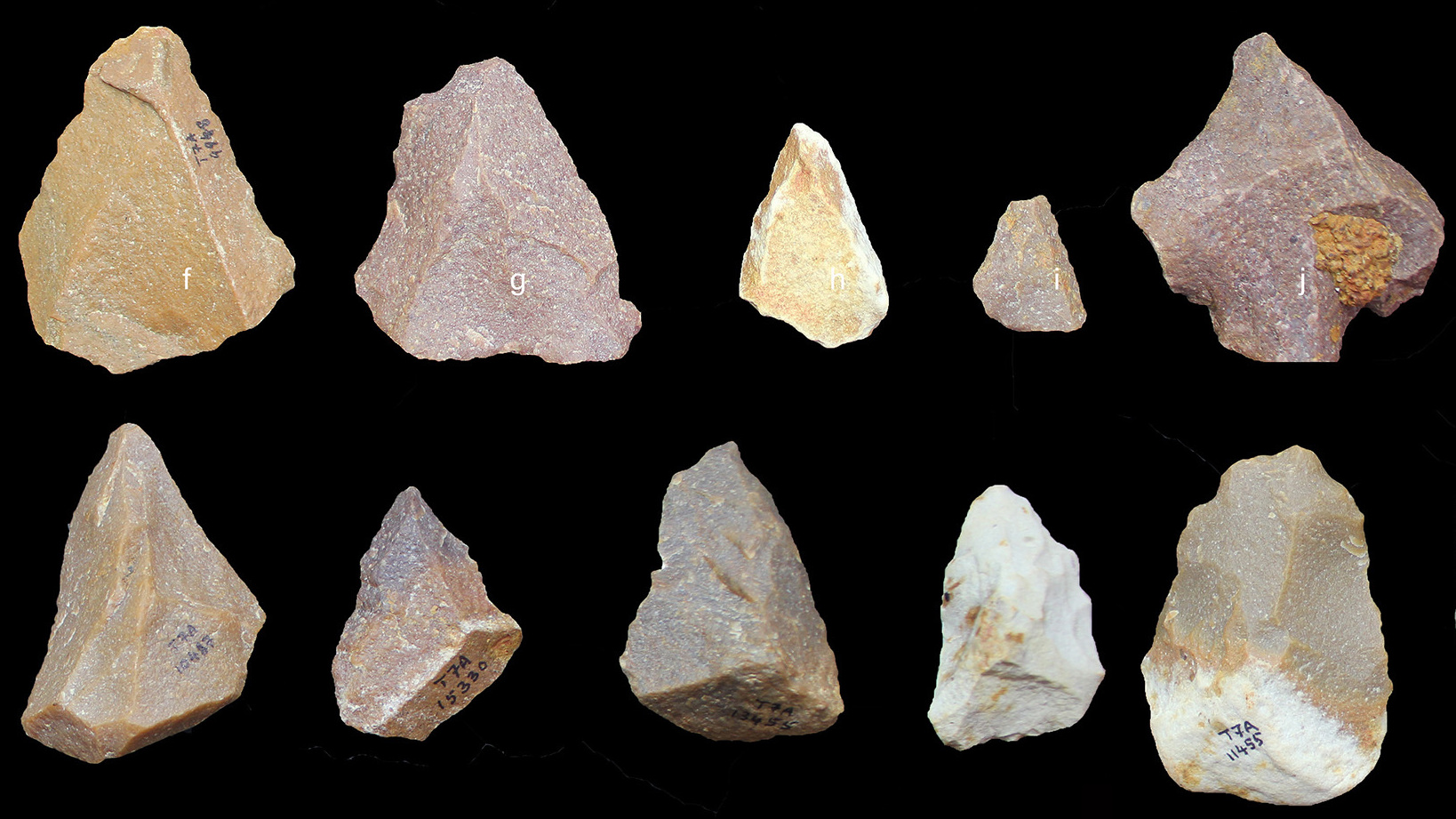 Discovery In India Suggests An Early Global Spread Of Stone Age
