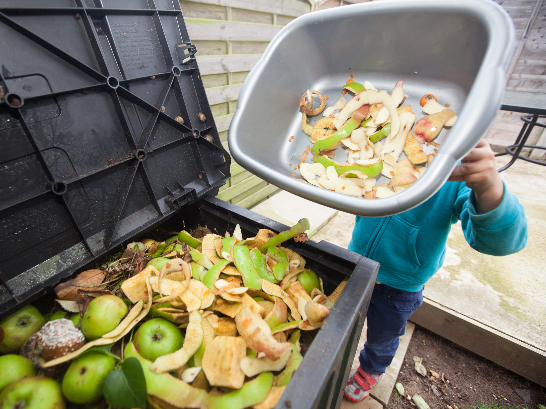 Grocery Stores Get Mostly Mediocre Scores On Their Food Waste Efforts ...