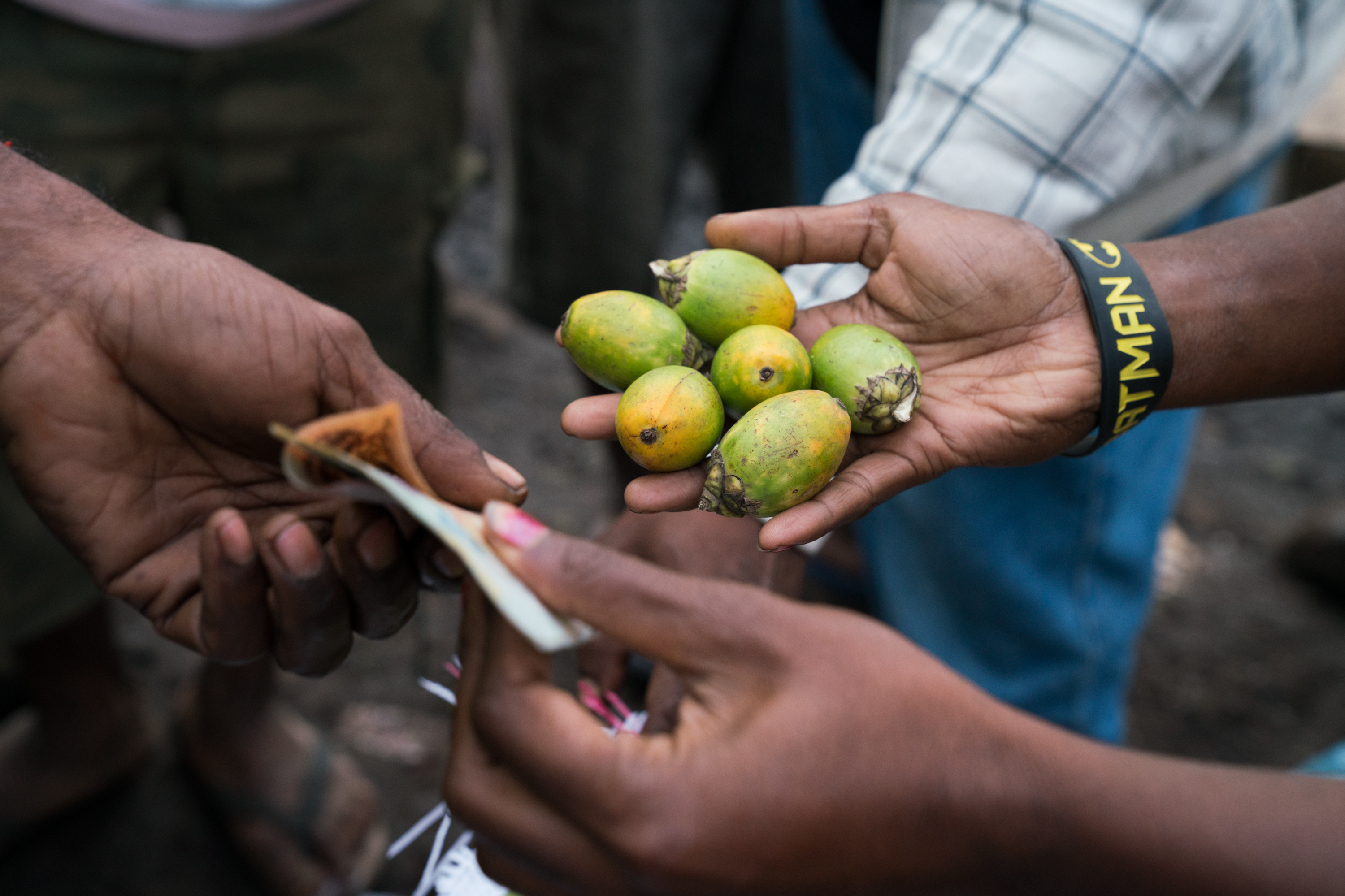 For Women In Papua New Guinea Income From Selling Betel Nut - 