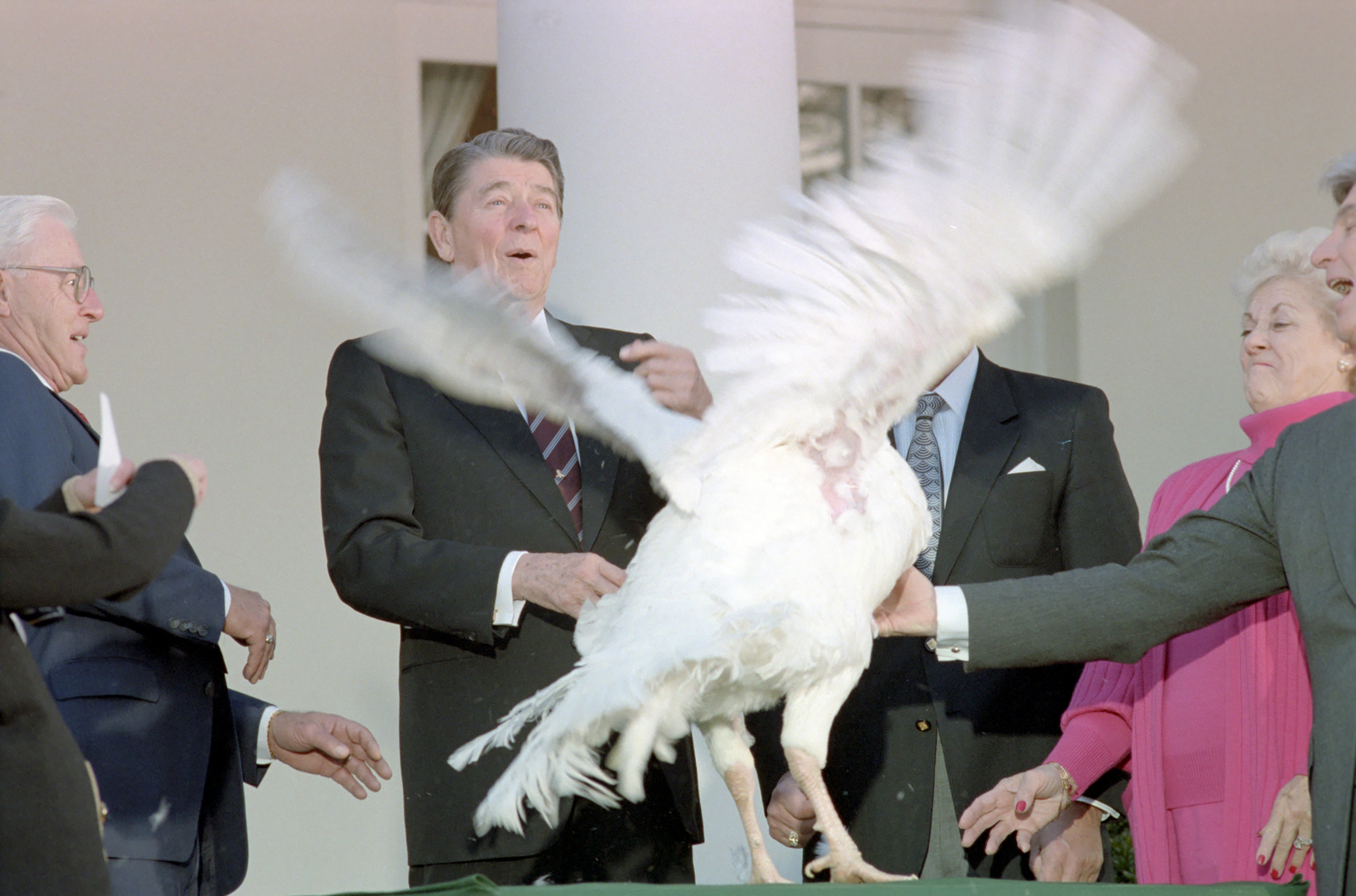 This turkey seemed to be in a fowl mood in 1987 when Ronald Reagan used the word