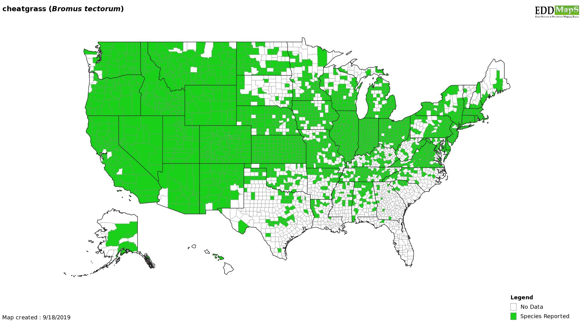 This map from the Center for Invasive Species and Ecosystem Health at the University of Georgia shows the counties throughout the United States where cheatgrass has been observed.