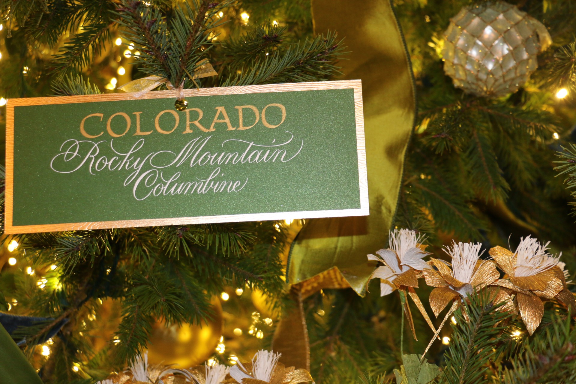 How To Keep Your Christmas Tree Out Of A Colorado Landfill This Year Colorado Public Radio