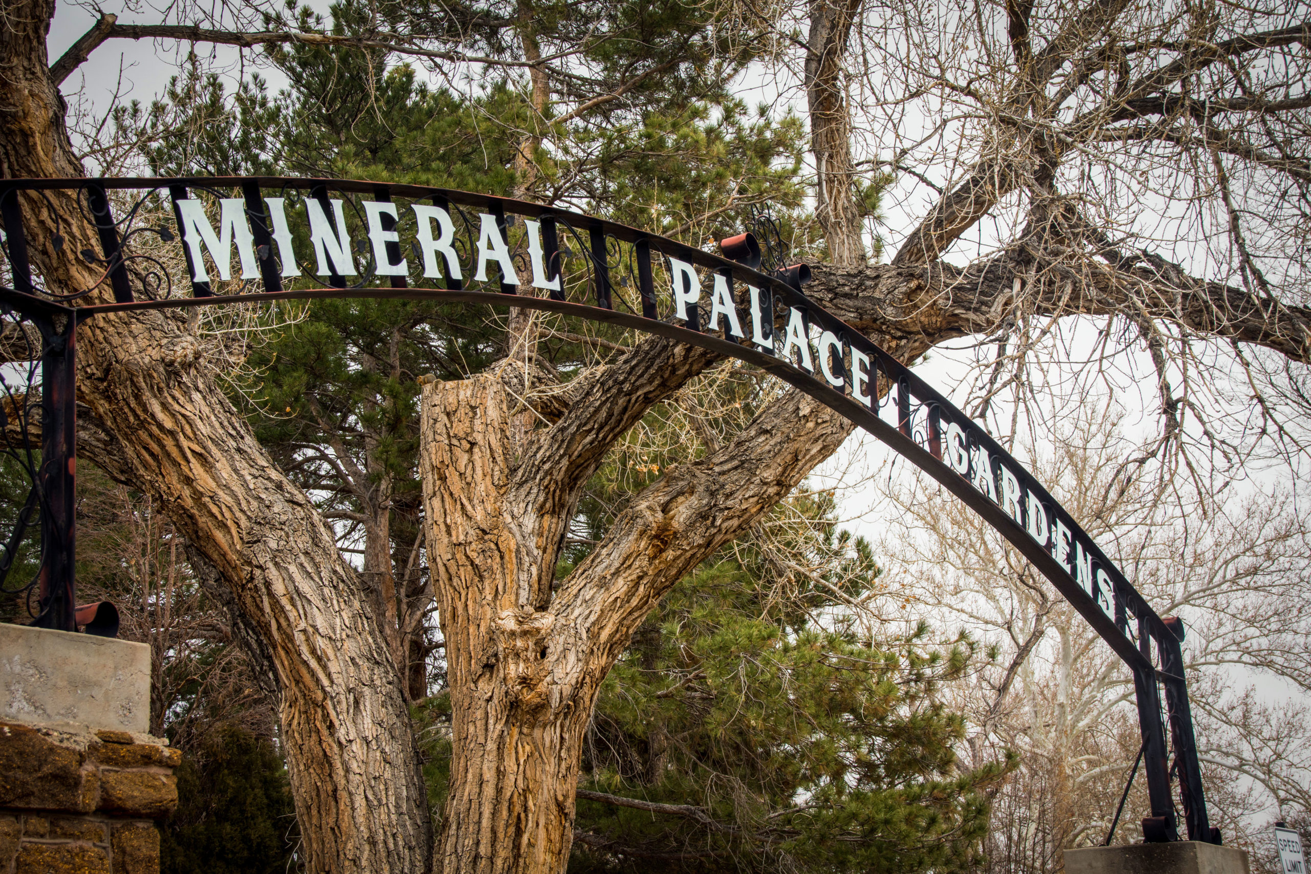 Lost Glory The Story Of Pueblo’s OnceGreat Mineral Palace Colorado Public Radio
