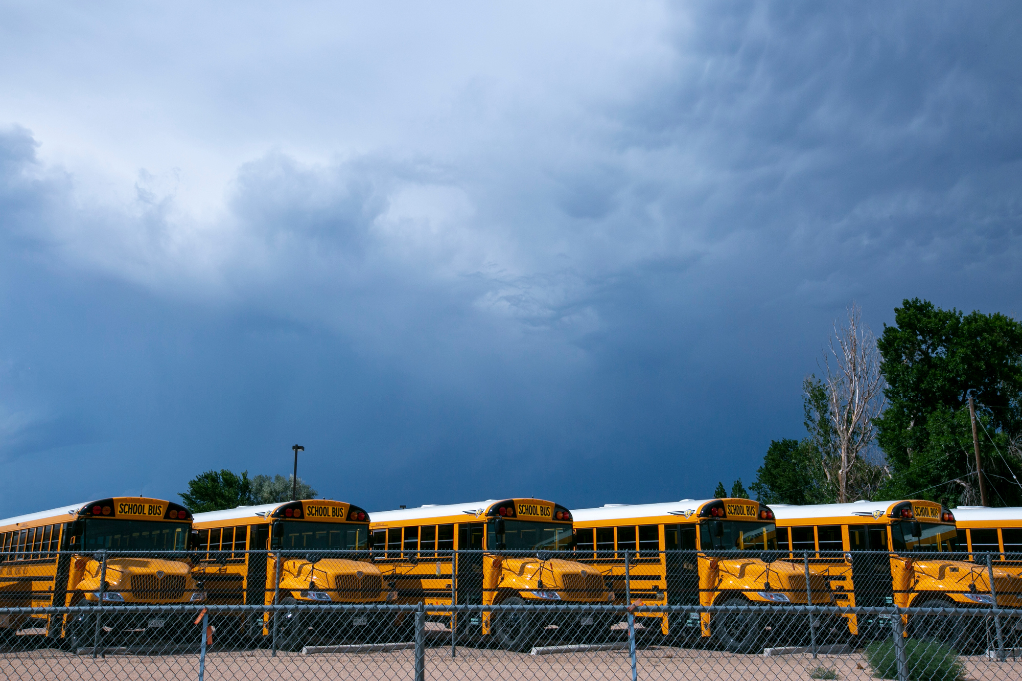 Colorado School Districts Say They re Ready To Roll But Surveys Show