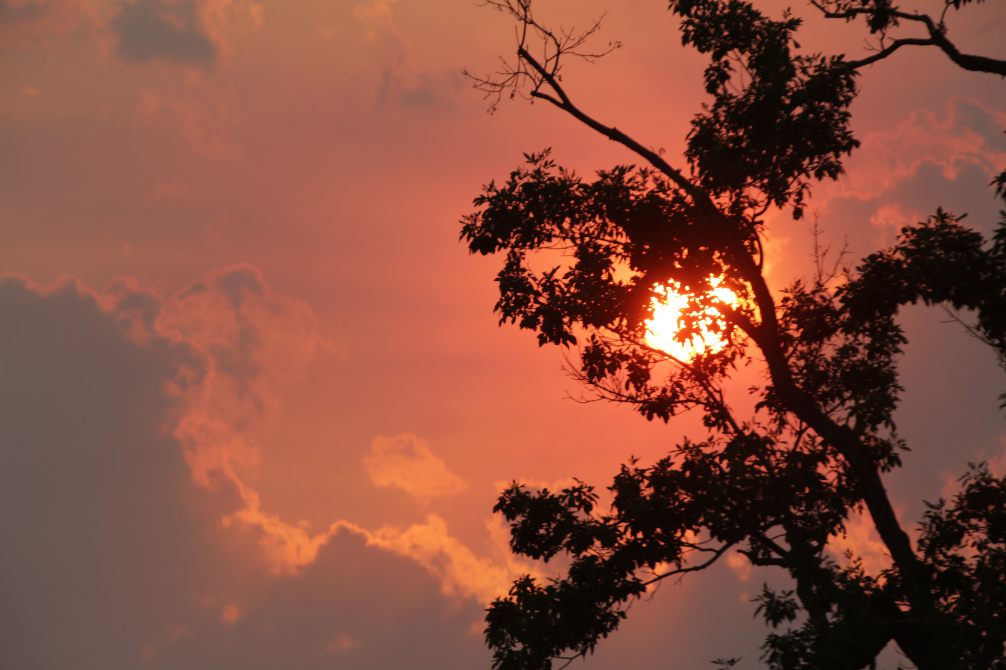 2020 Was Earth's 2nd-Hottest On Record And Colorado Felt It - Vimarsana News