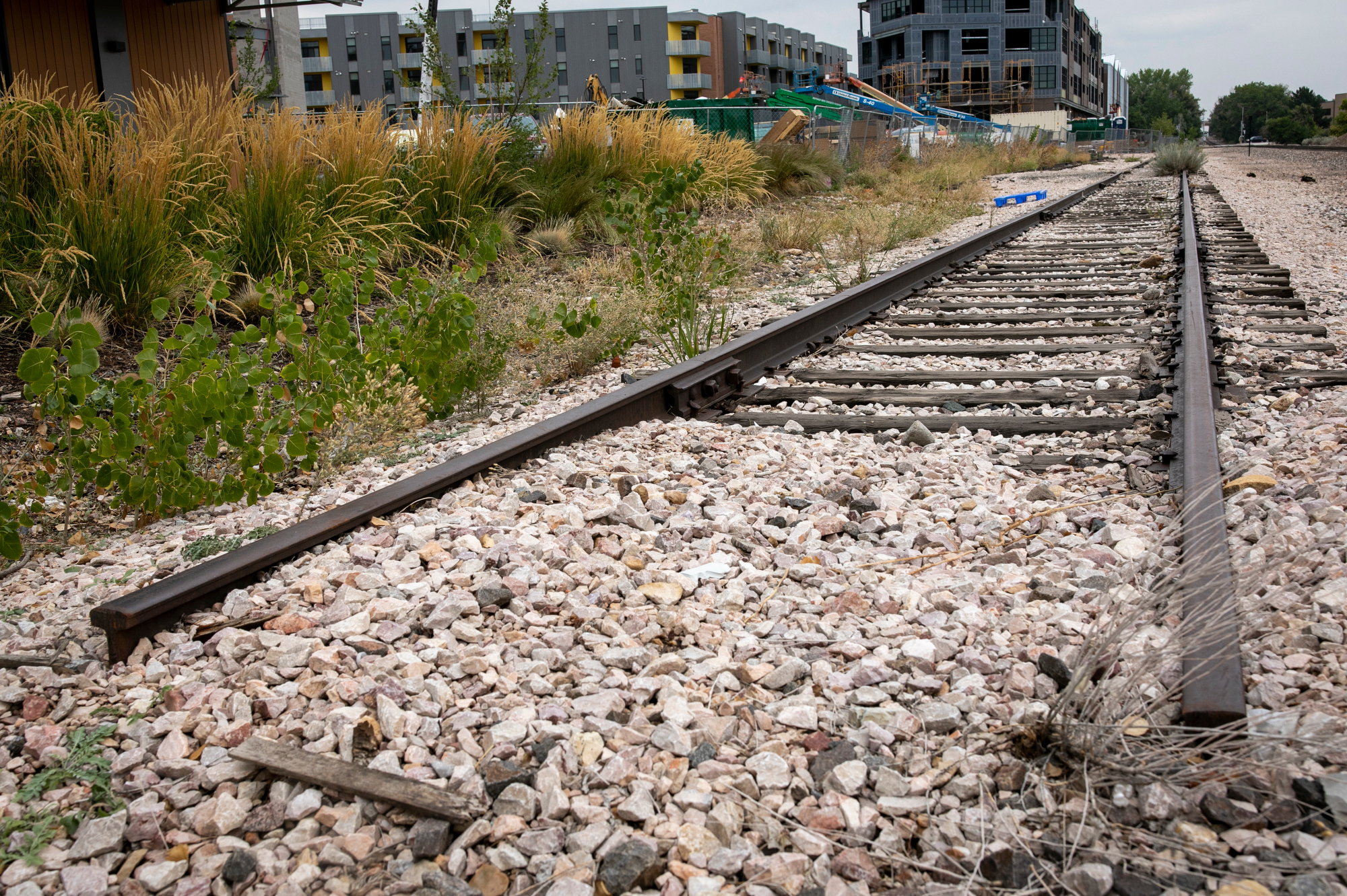 Polis 'Extremely Concerned' By RTD Leader's Questioning Of Boulder Train - Vimarsana News