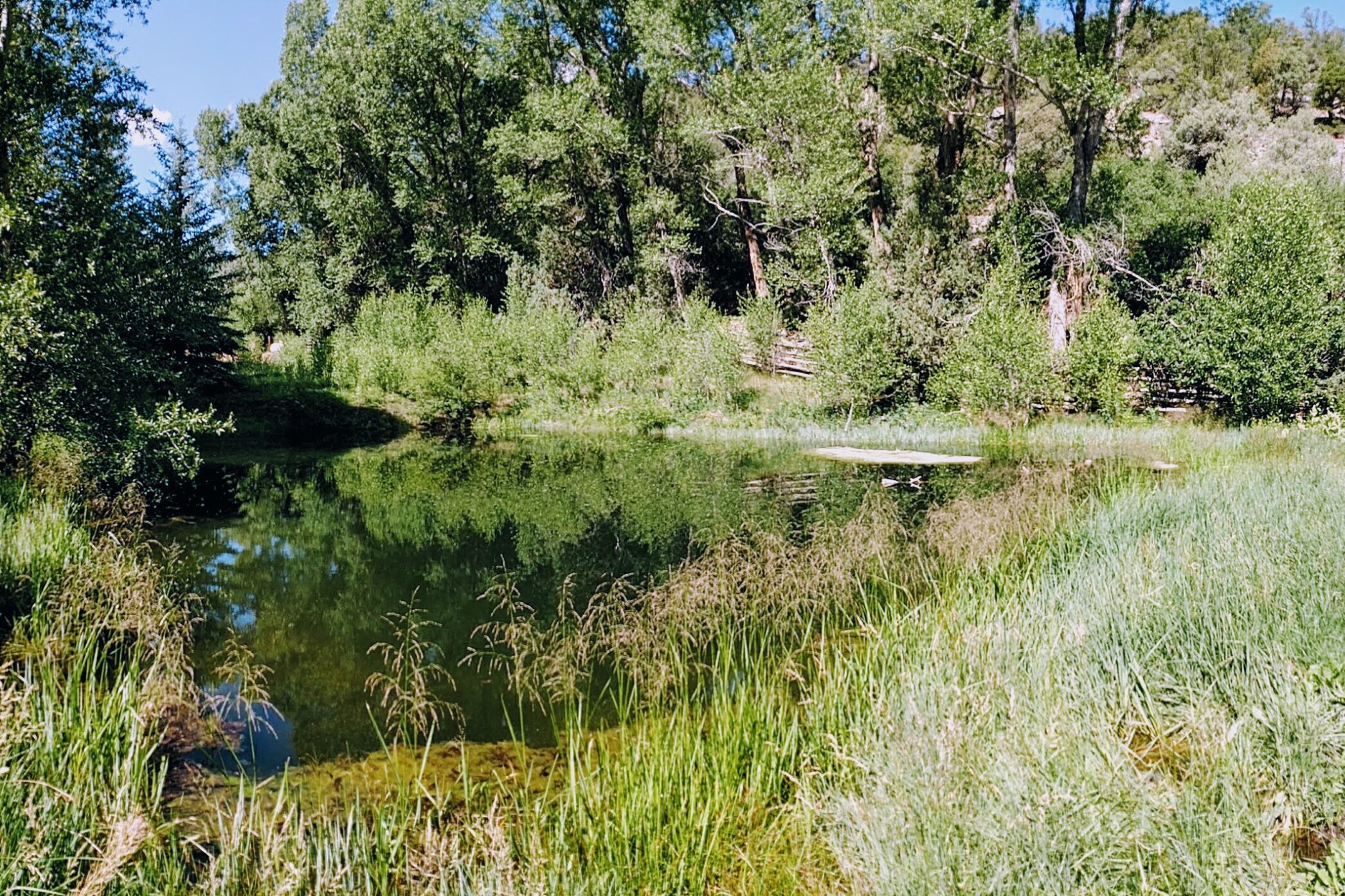 KRCC 91.5 FM Southern Colorado's NPR Station Colorado Public Radio
