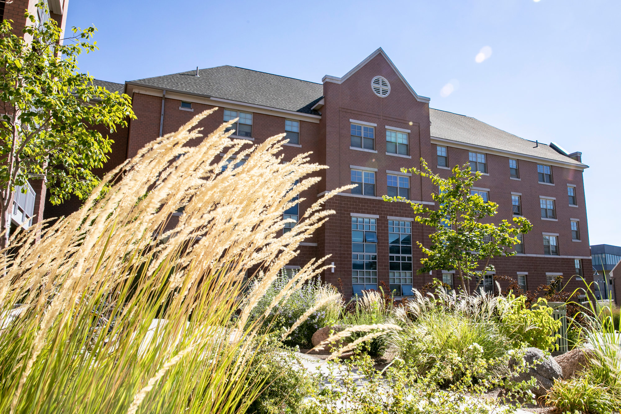 Colorado Mesa University Makes History With New Athletic Director Hire Colorado Mesa University Makes History With New Athletic Director Hire