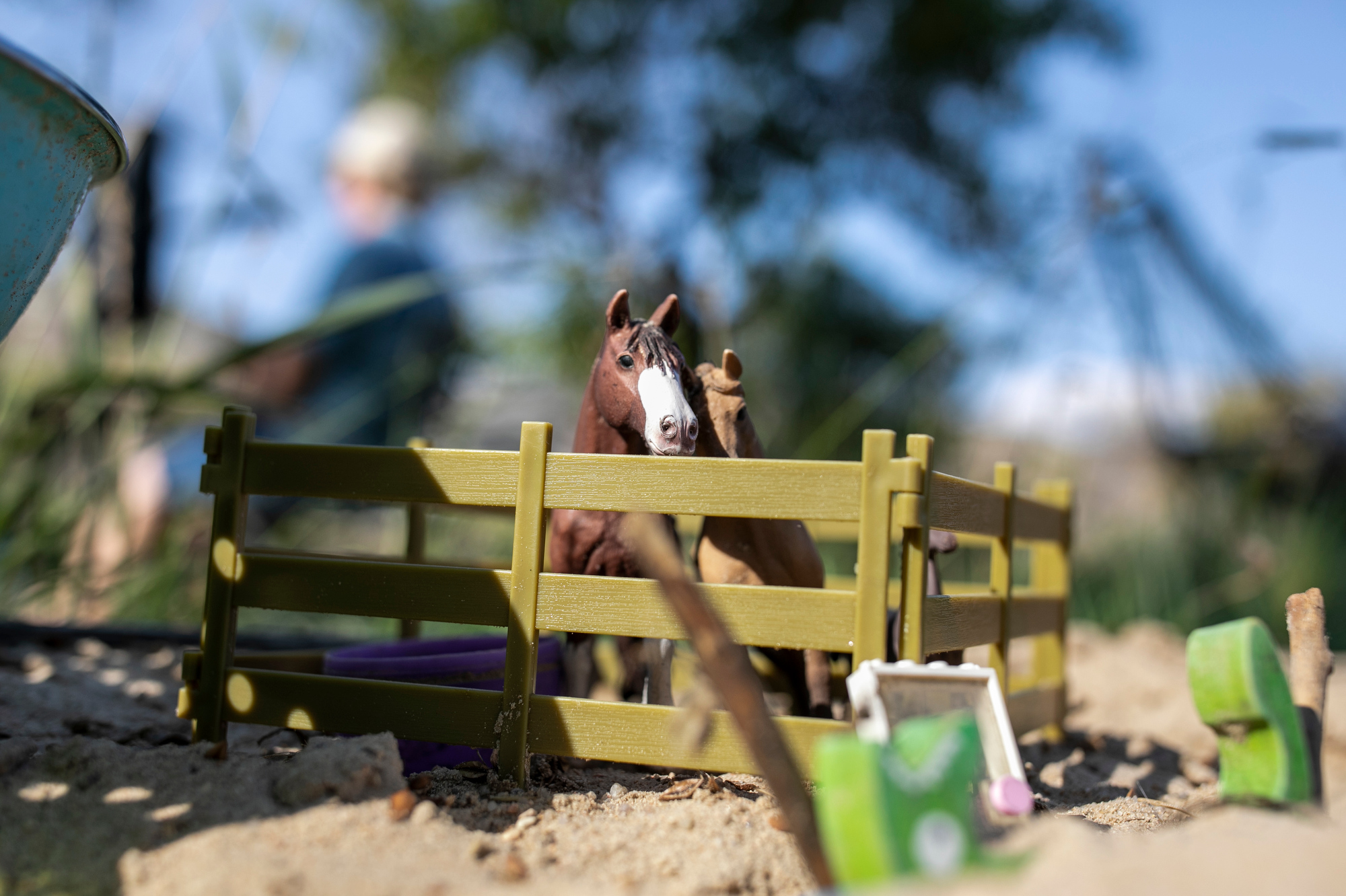The Montezuma Orchard Restoration Project Preserves History Of Apples