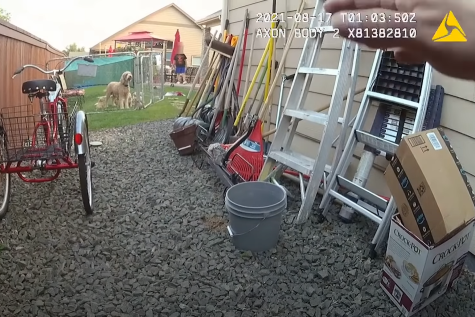 Body Cam Video Shows Loveland Police Shooting Man In Mental Health