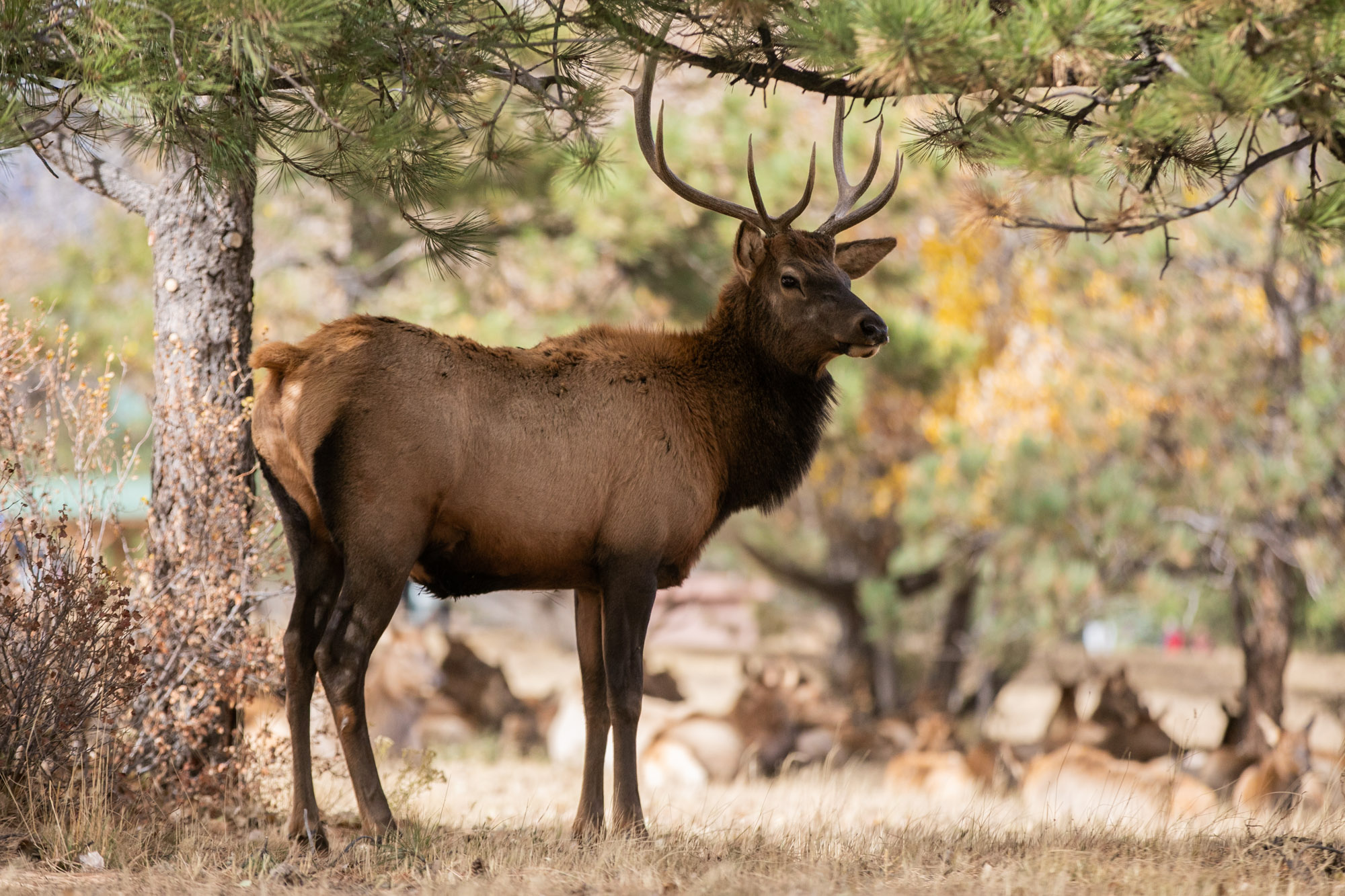 Things to do in Colorado this weekend