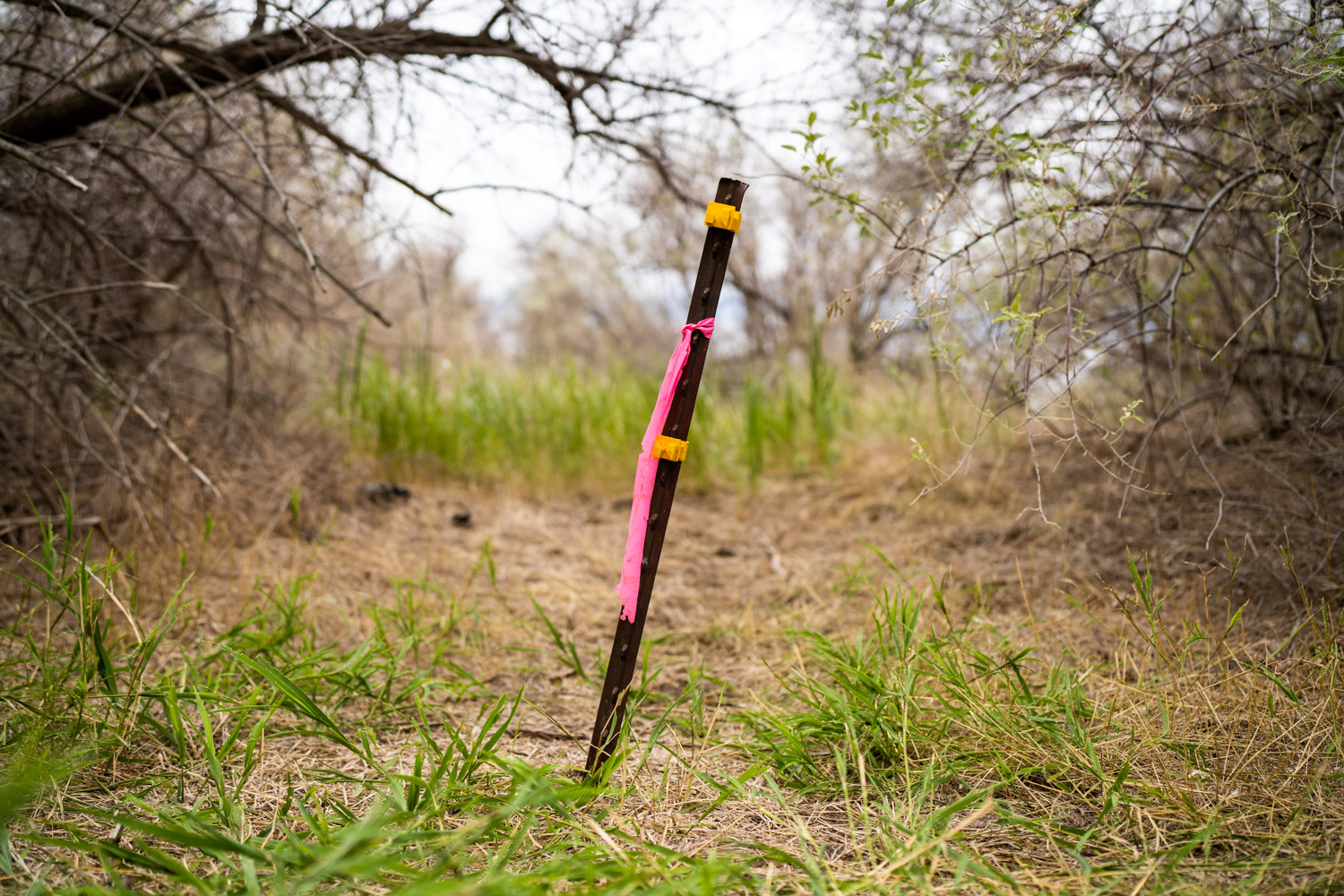 We went to the lowest point in Colorado Colorado Public Radio