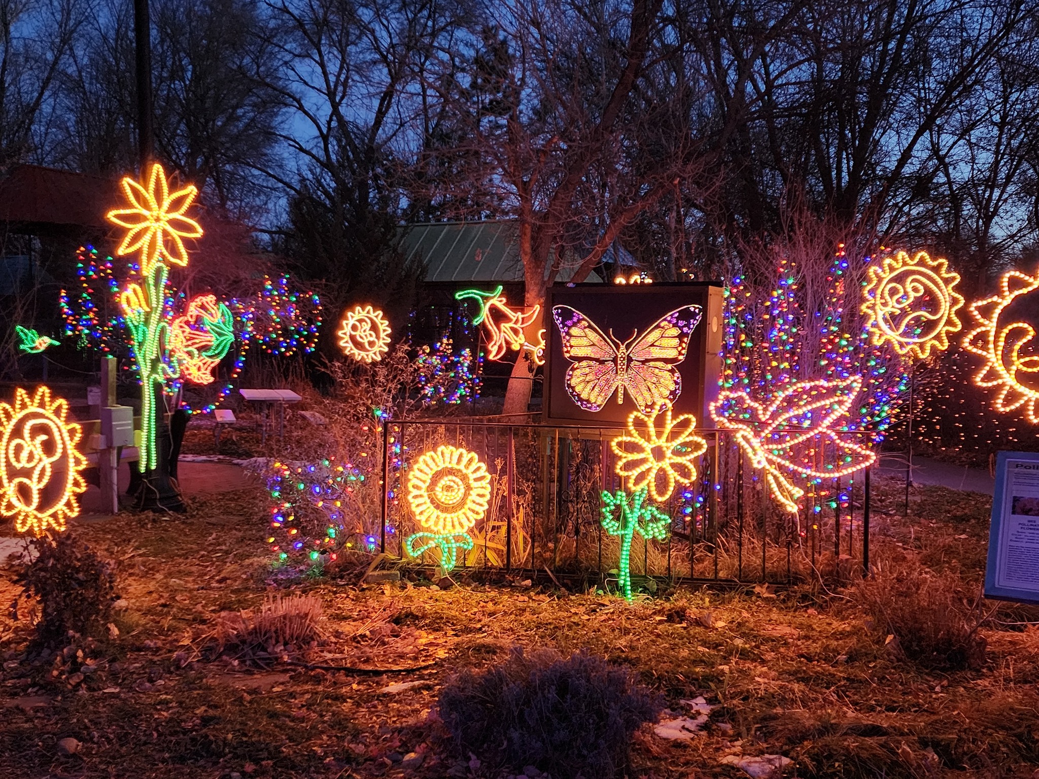 From tree lightings to Christmas parades, here's where you can celebrate the holidays across southern Colorado - Vimarsana News