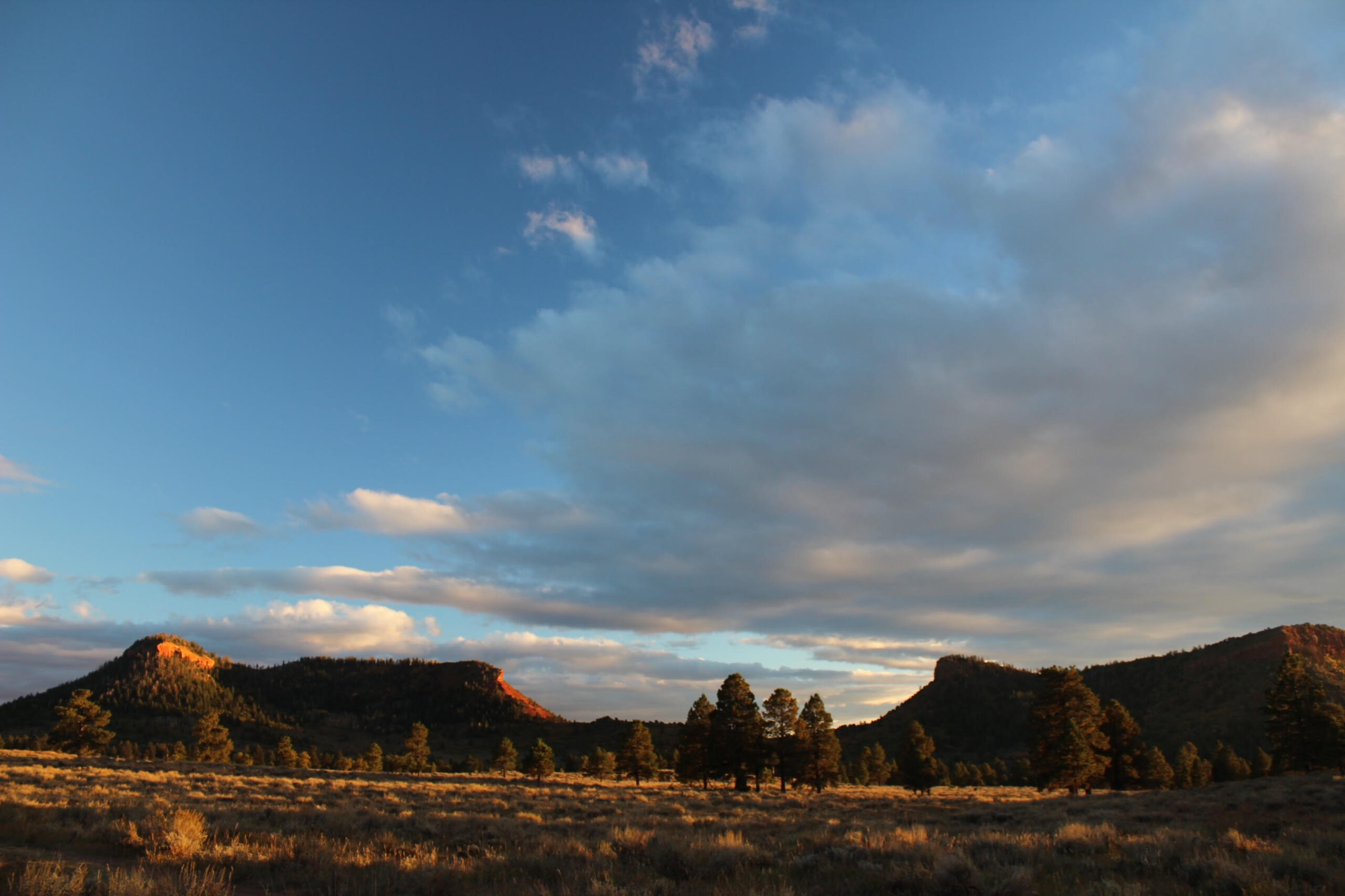 Bears Ears A story 11,000 years in the making Colorado Public Radio