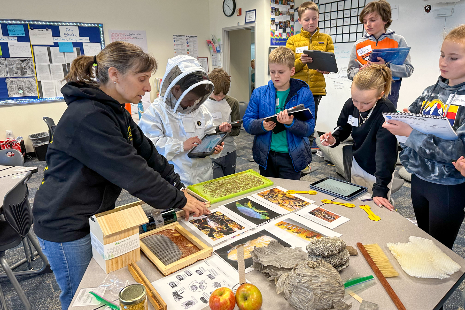 How do you remove a mite from a honey bee's back? Ask these 5th graders - Vimarsana News
